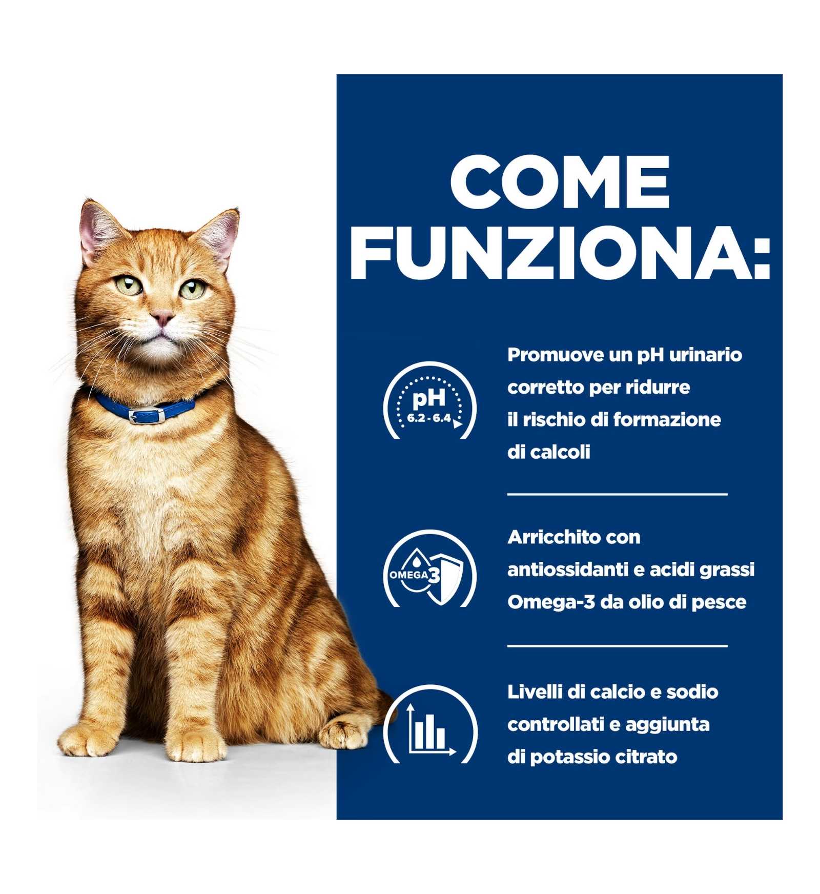 HILL'S PRESCRIPTION DIET GATTO C/D URINARY AL SALMONE DA 85 GR IN BUSTA