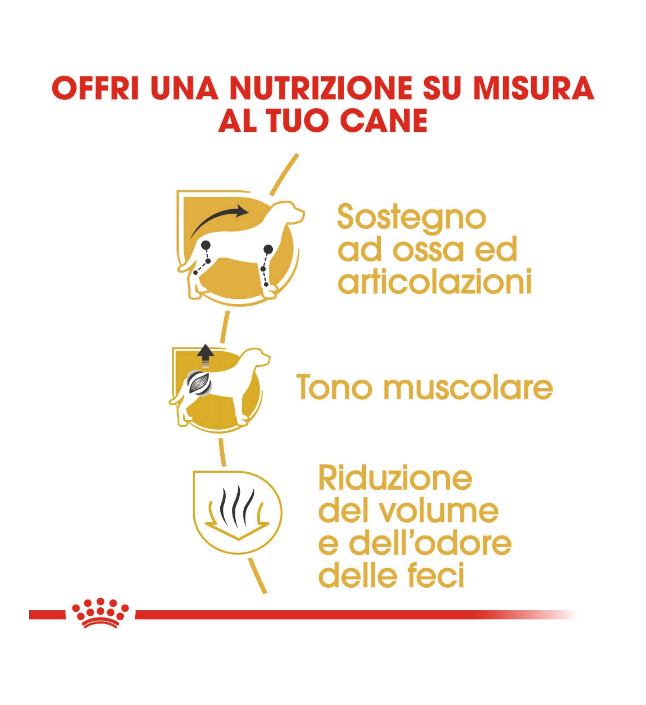 NATURAL CODE GATTO LETTIERA VEGETALE AGGLOMERANTE MAIS NEUTRA DA 3,8 KG