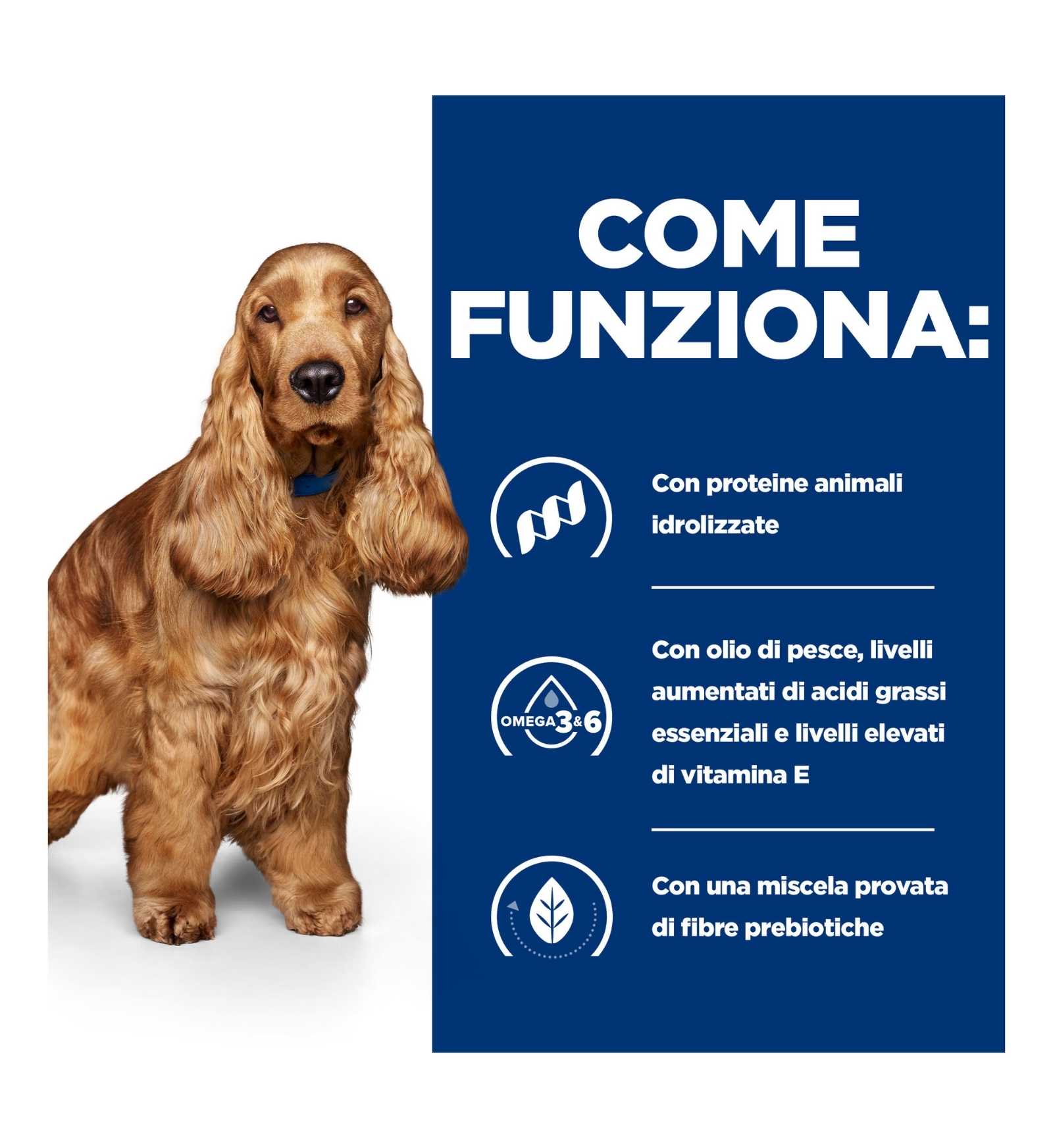HILL'S PRESCRIPTION DIET CANE Z/D DA 370 GR IN LATTINA