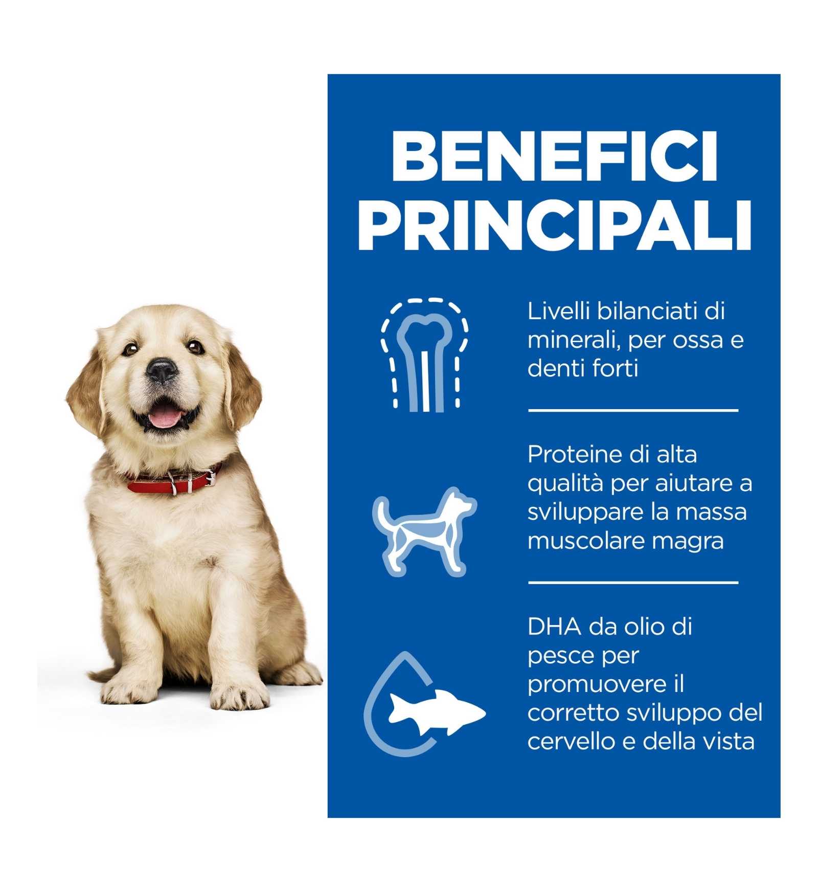 HILL'S SCIENCE PLAN CANE PUPPY LARGE BREED AL POLLO