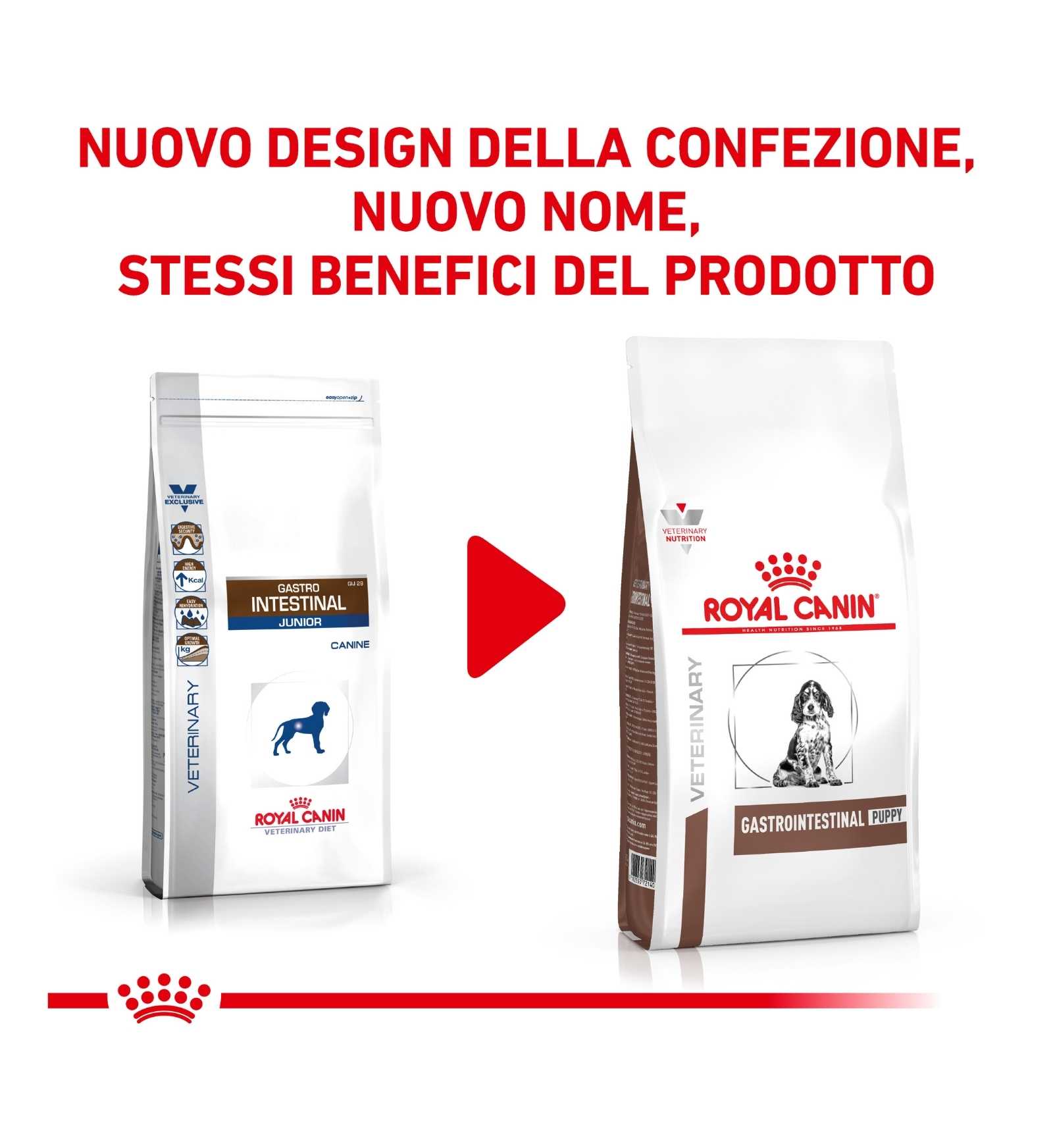 ROYAL CANIN CANE DIET GASTROINTESTINAL JUNIOR