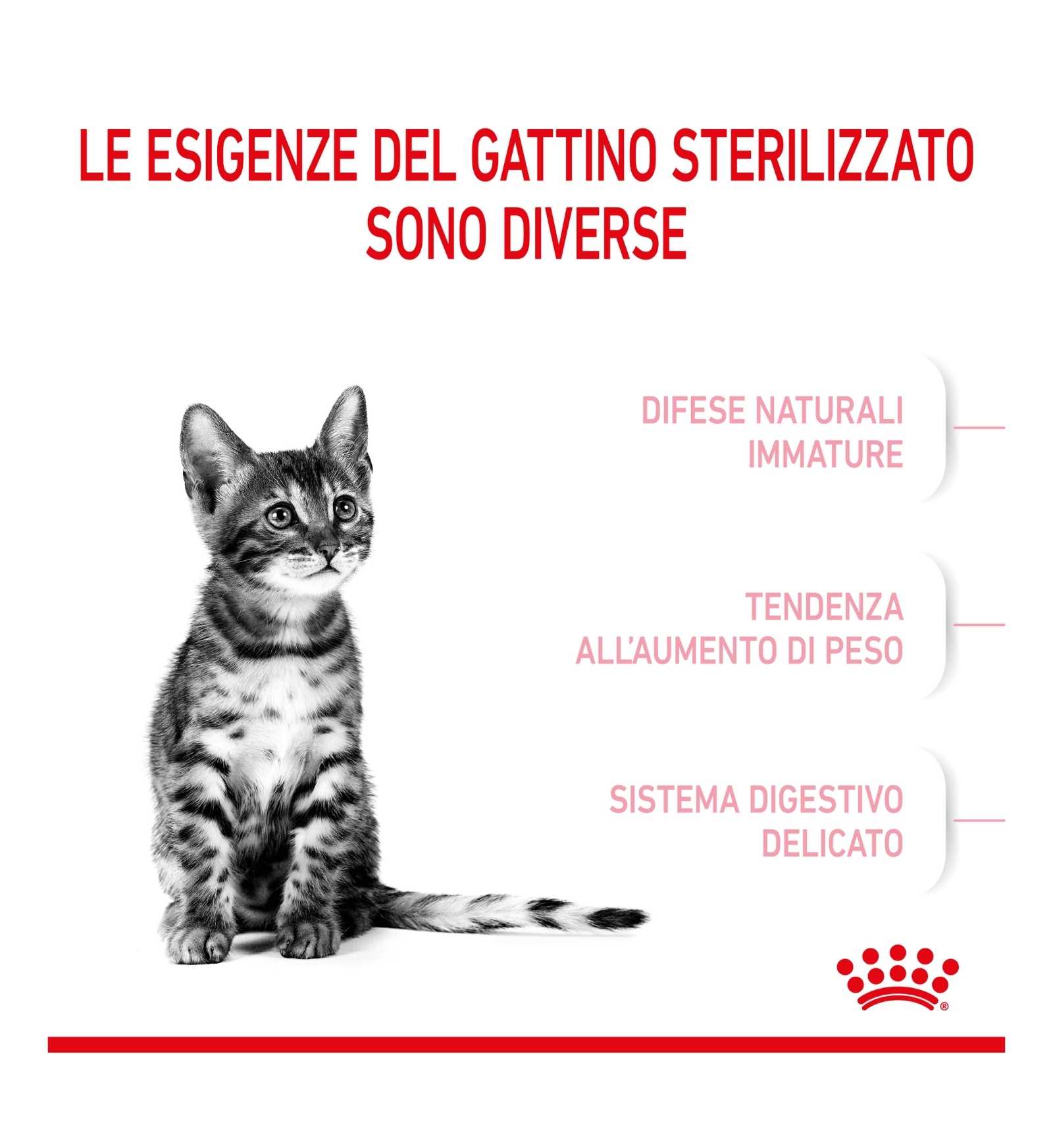 ROYAL CANIN GATTO KITTEN STERILISED