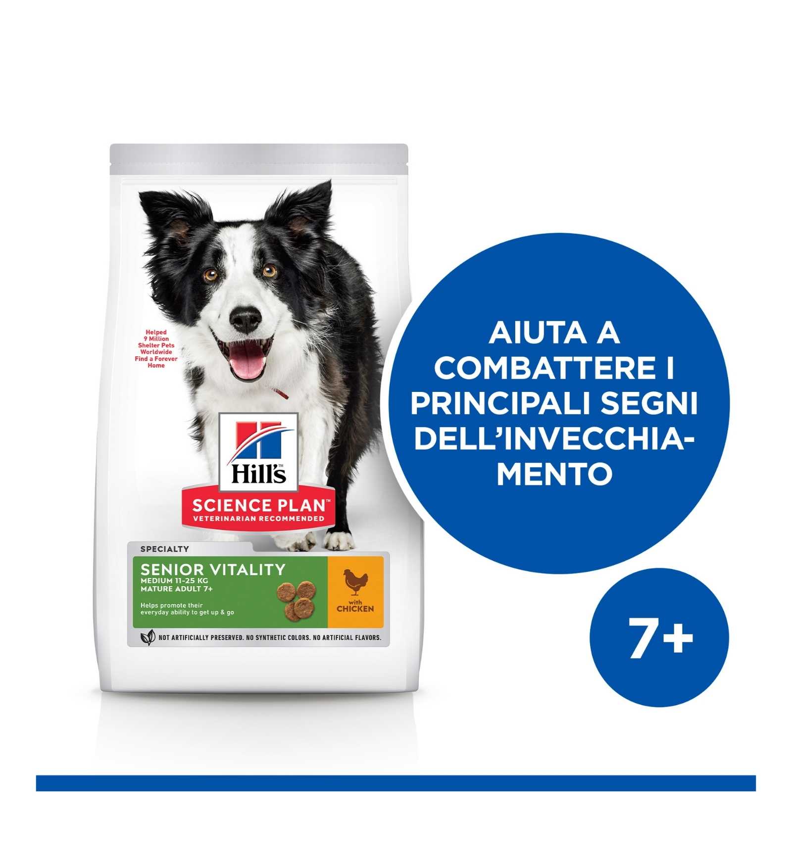 HILL'S SCIENCE PLAN CANE SENIOR VITALITY 7 + MEDIUM POLLO