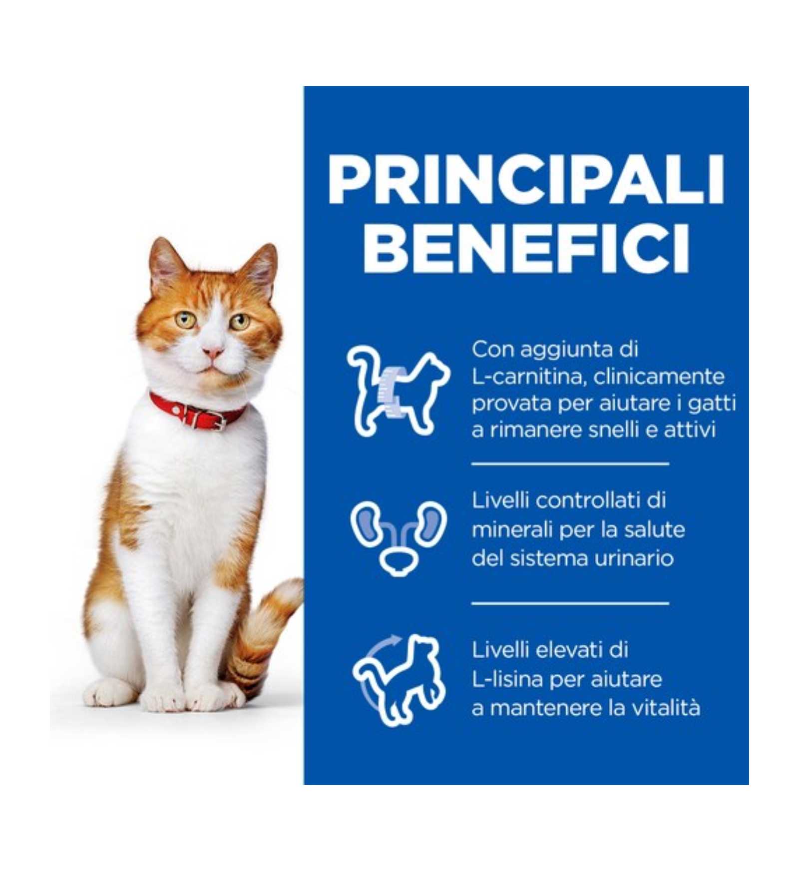 HILL'S SCIENCE PLAN GATTO ADULT STERILIZZATO AL SALMONE DA 3 KG