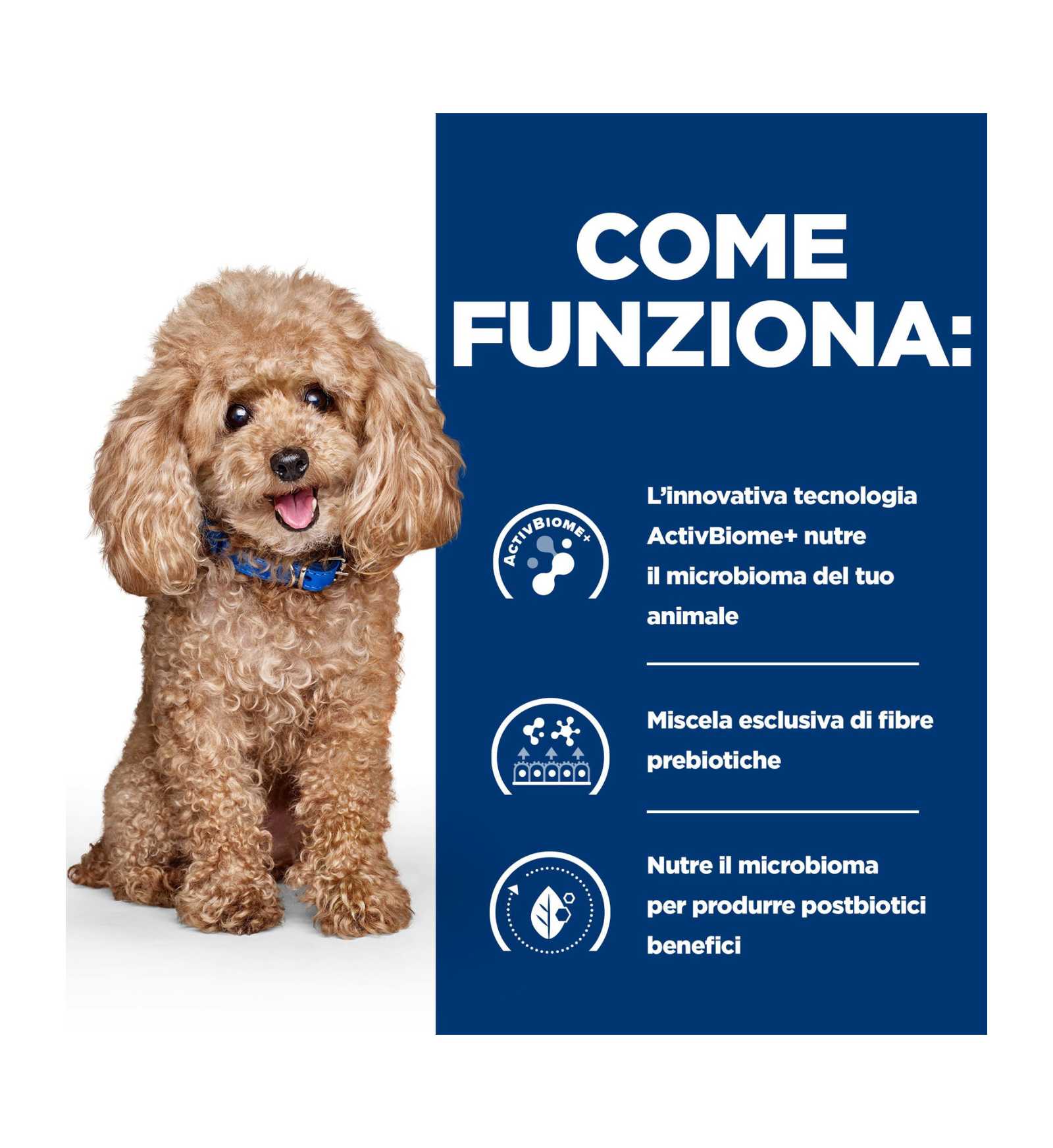 HILL'S PRESCRIPTION DIET CANE GASTROINTESTINAL BIOME DIGESTIVE / FIBRE CARE MINI POLLO