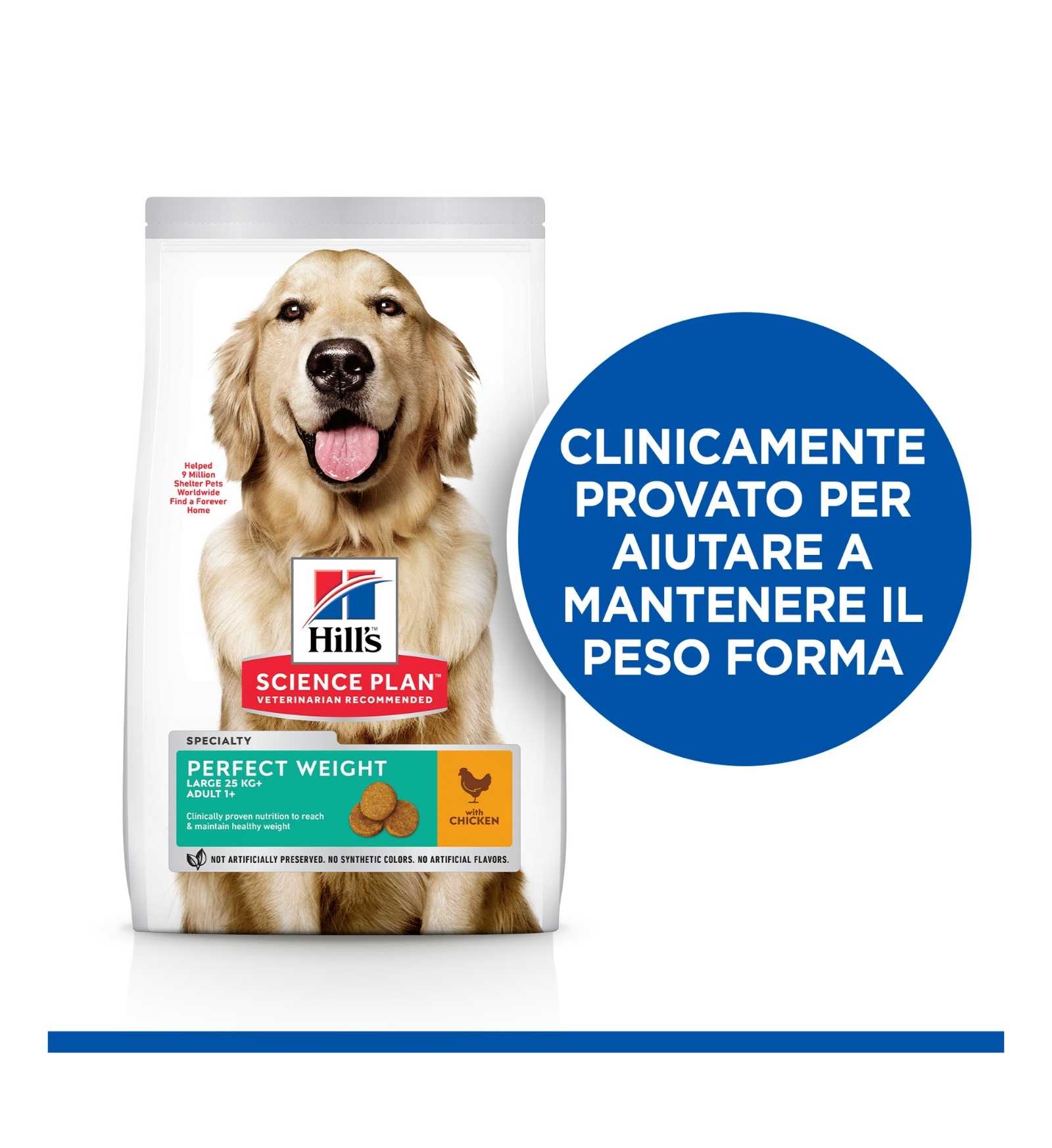 HILL'S SCIENCE PLAN CANE LARGE PERFECT WEIGHT AL POLLO DA 12 KG
