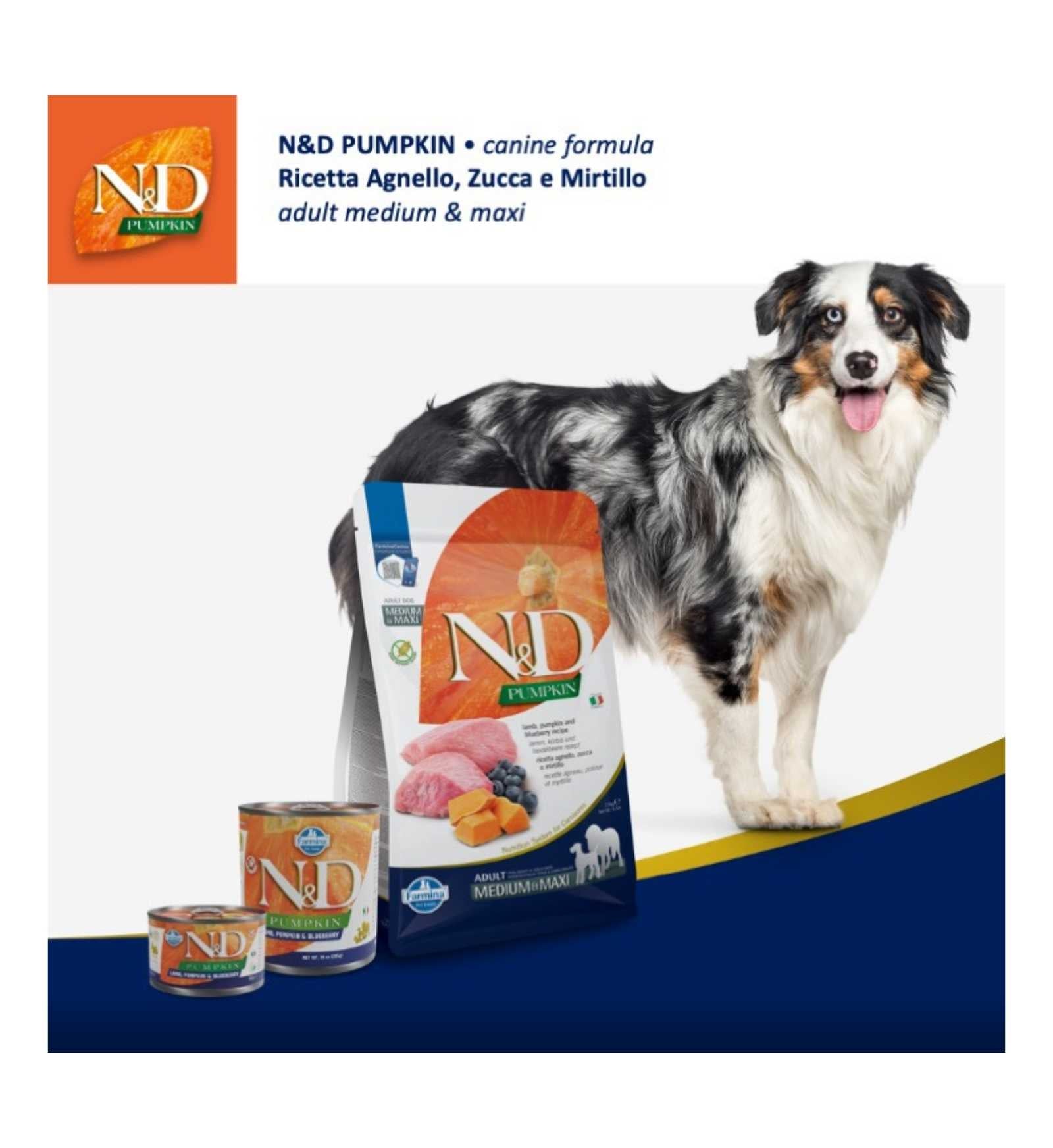 FARMINA N&D CANE GRAIN FREE ADULT MEDIUM & MAXI AGNELLO ZUCCA E MIRTILLO