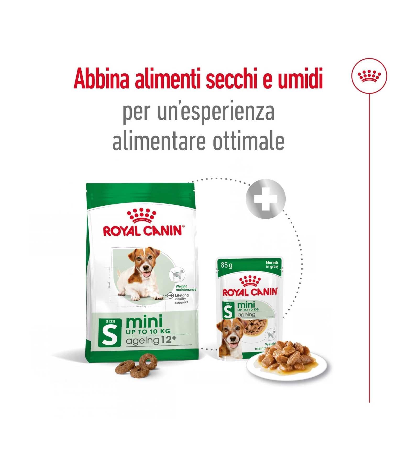 ROYAL CANIN CANE ADULT MINI AGEING 12+