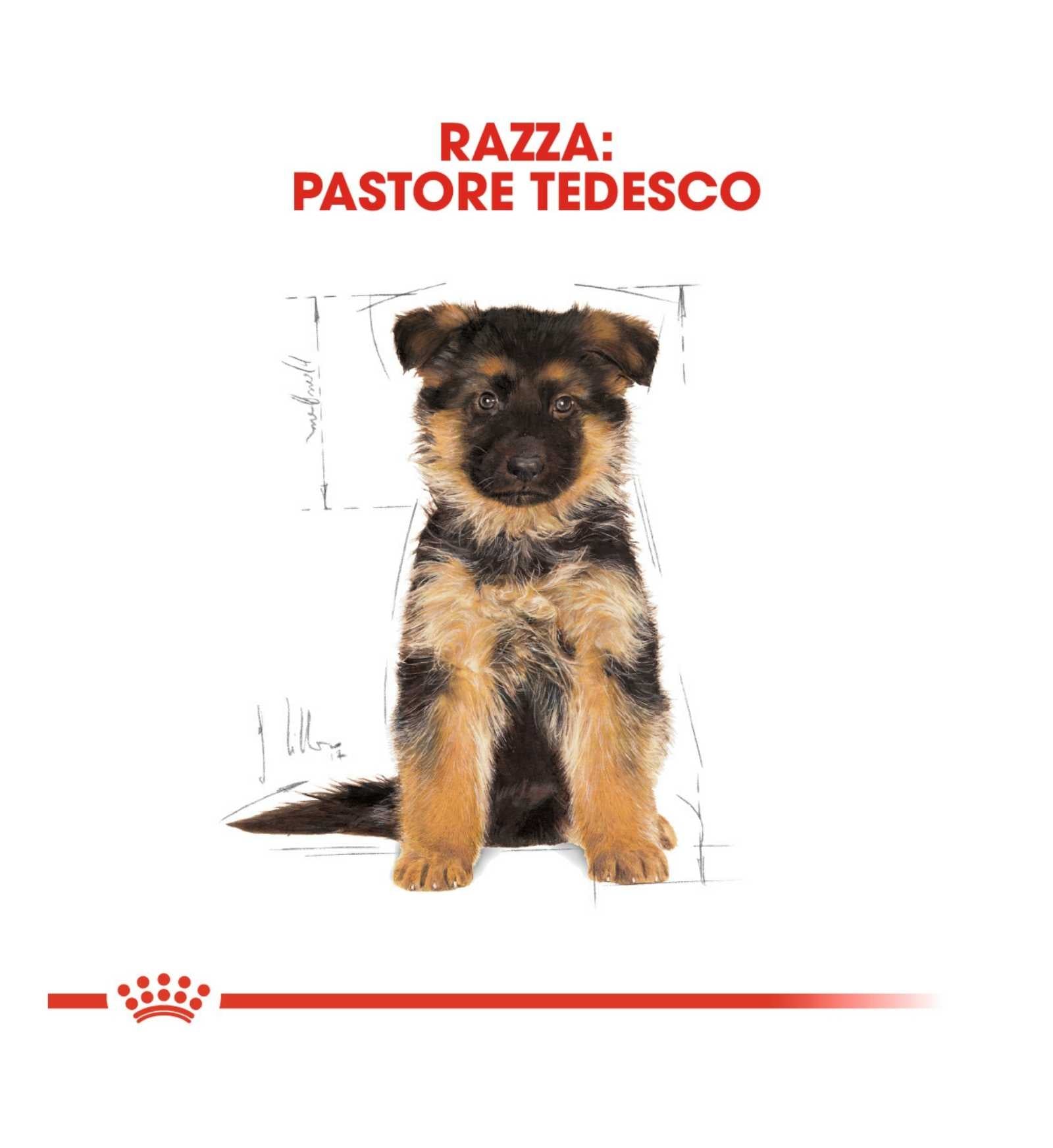 ROYAL CANIN CANE BREED GERMAN SHEPHERD PUPPY