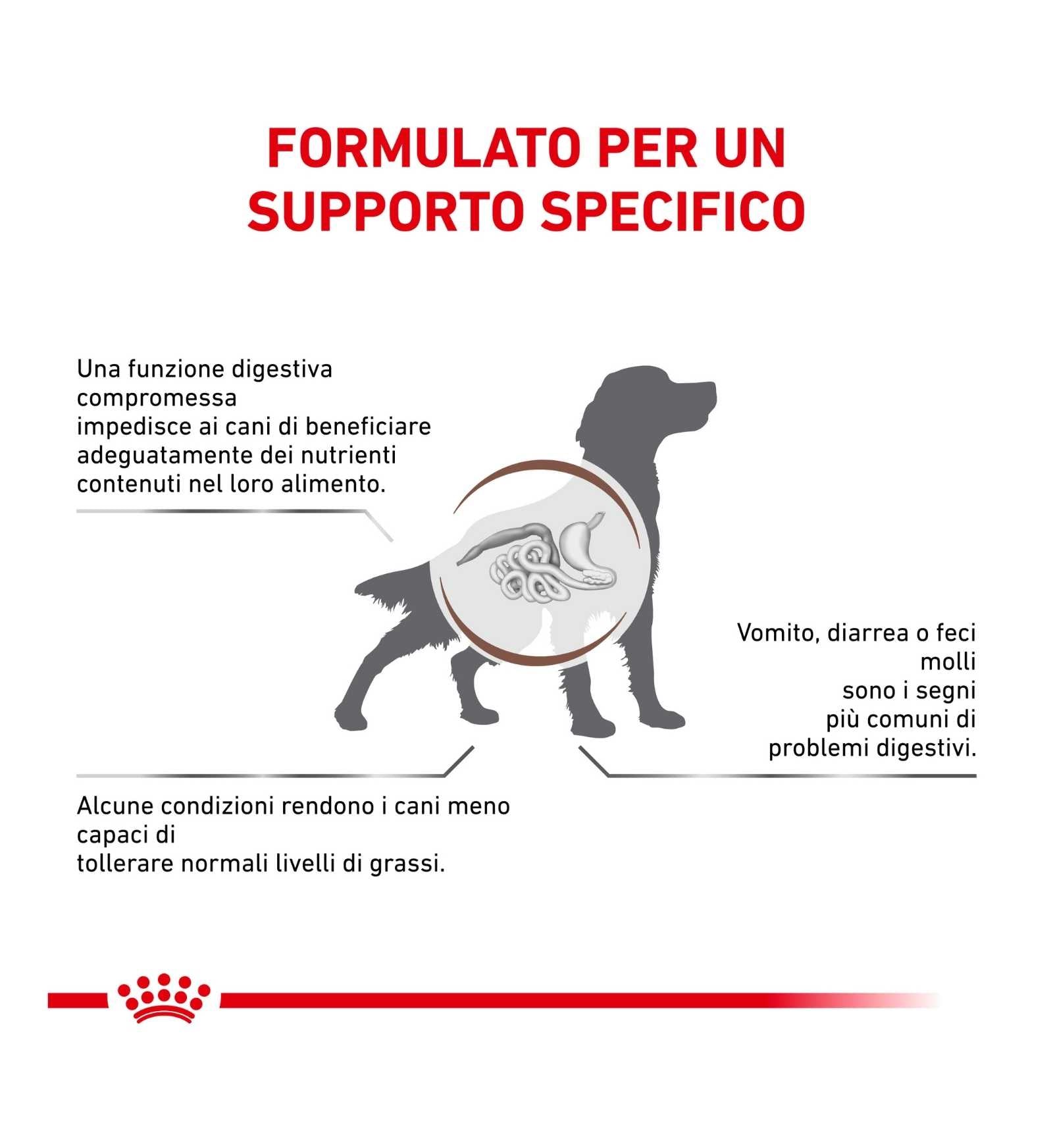 ROYAL CANIN CANE DIET GASTROINTESTINAL LOW FAT