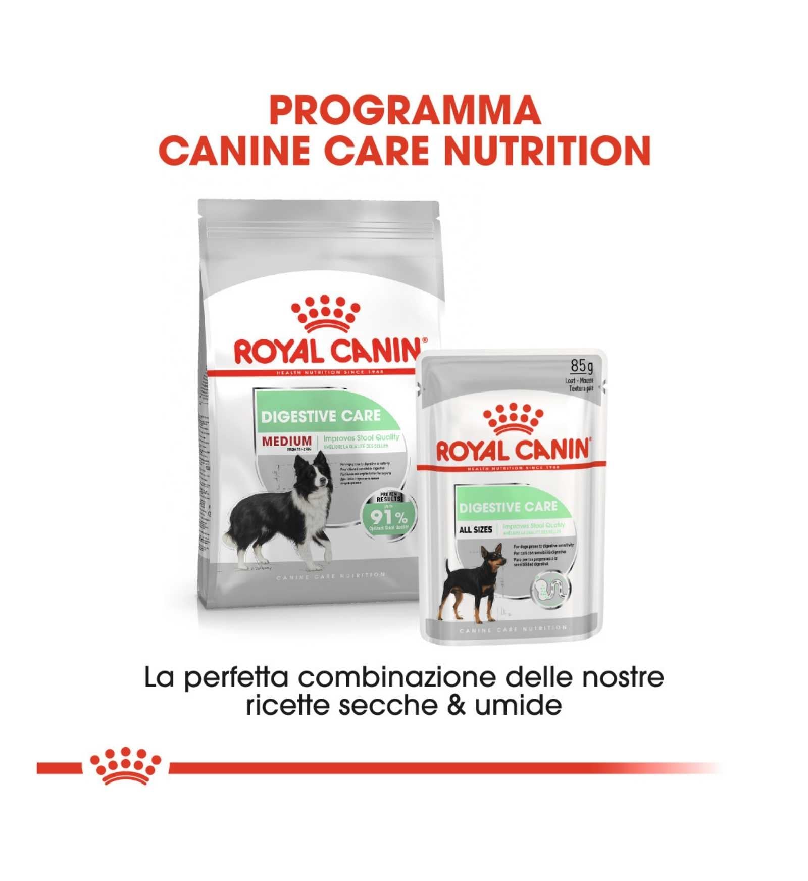 ROYAL CANIN CANE ADULT MEDIUM DIGESTIVE CARE