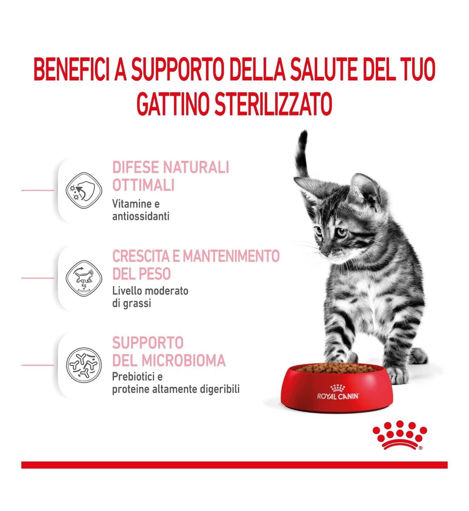 ROYAL CANIN GATTO KITTEN STERILISED