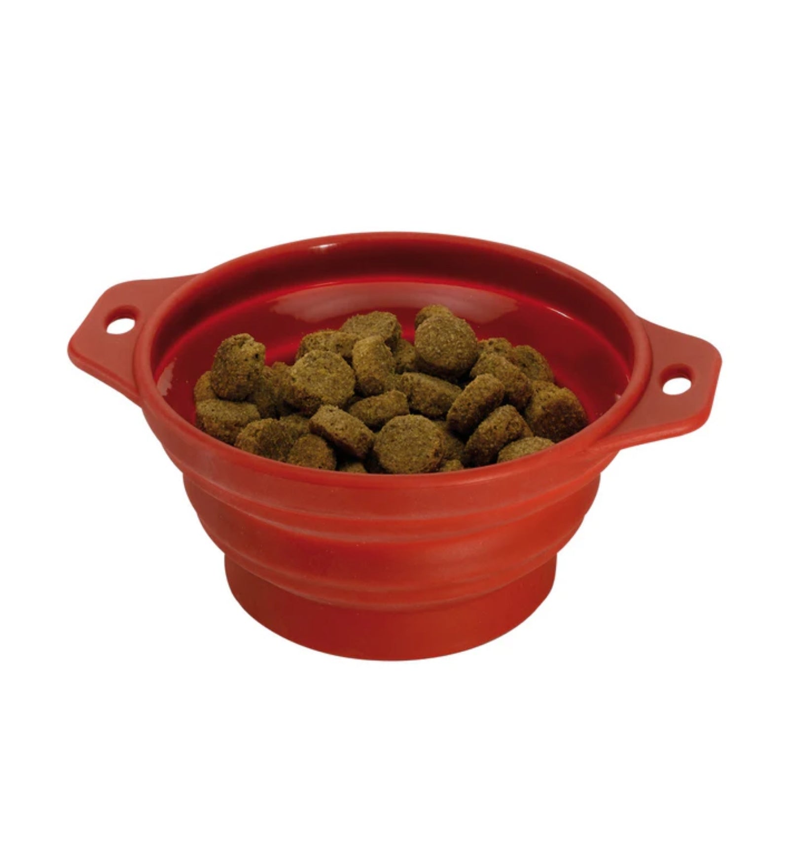 FERPLAST CANE CIOTOLA VIAGGIO 0,5 LITRI