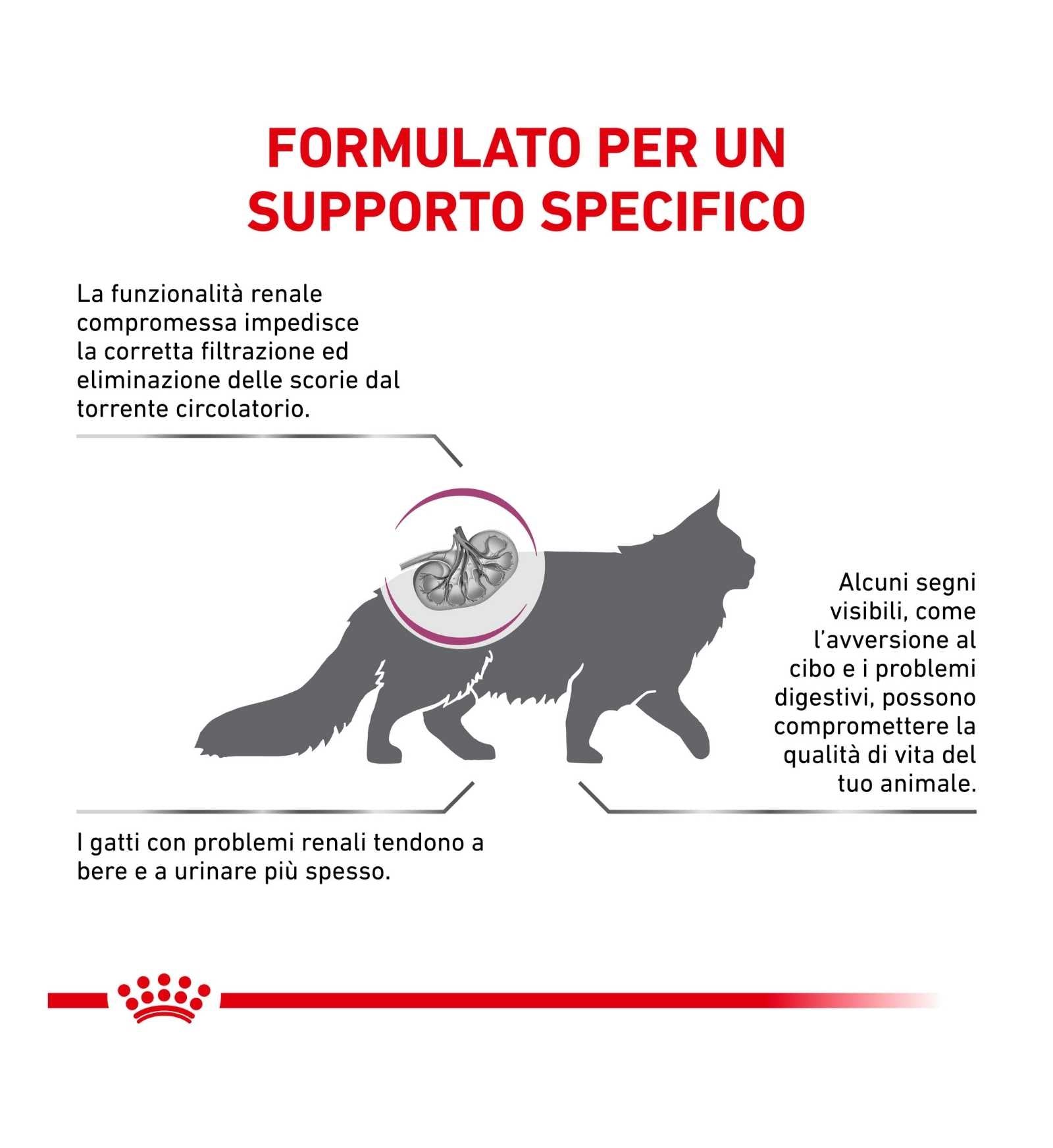 ROYAL CANIN GATTO DIET RENAL