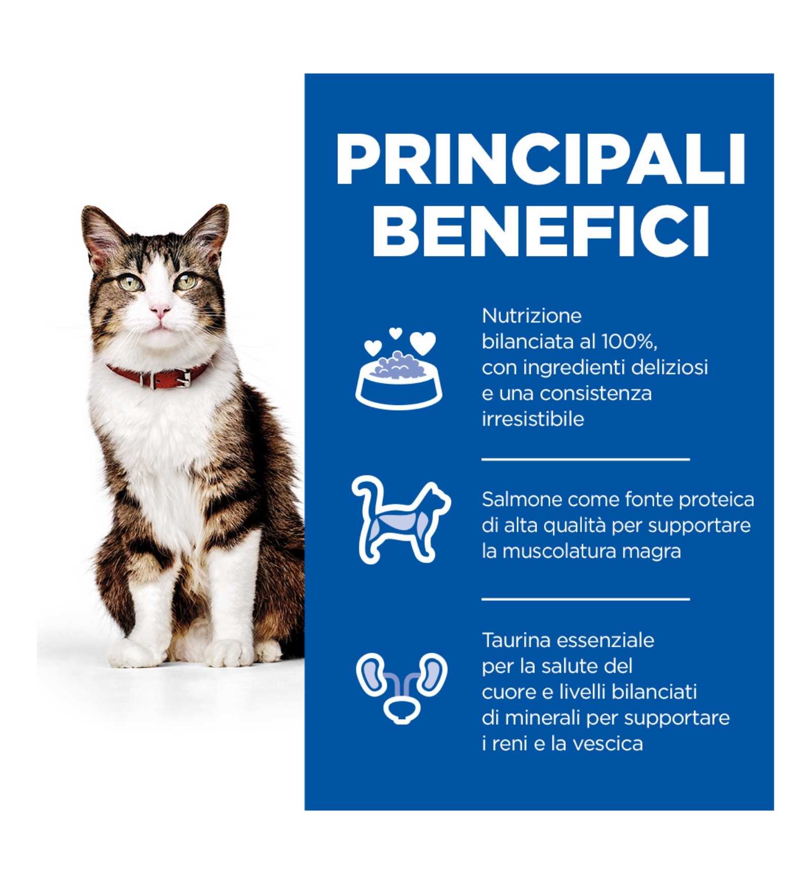 HILL'S SCIENCE PLAN GATTO CULINARY CREATIONS ADULT SALMONE E CAROTA DA 1,5 KG