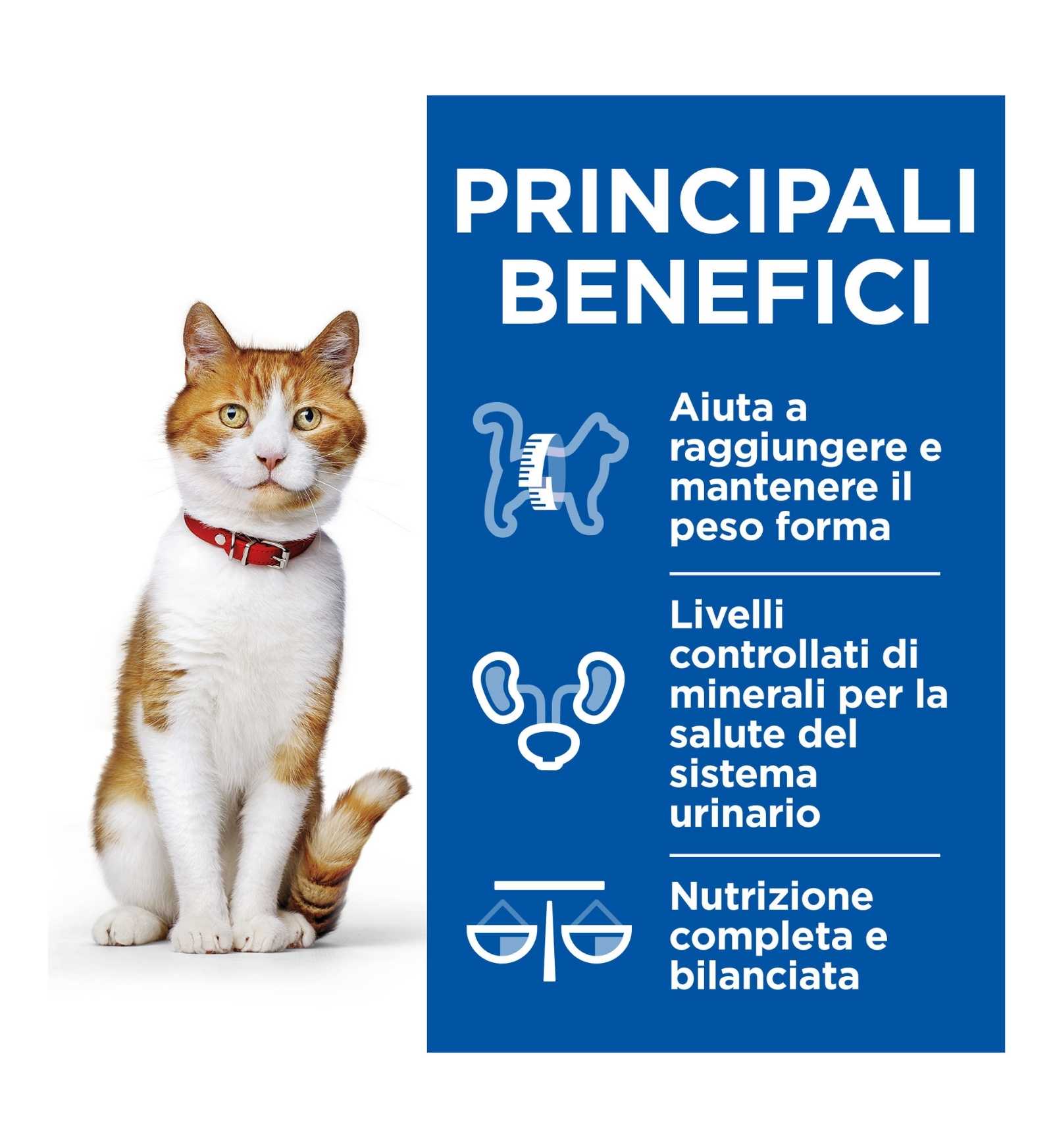 HILL'S SCIENCE PLAN GATTO ADULT STERILIZZATO HEALTY CUISINE POLLO E VERDURE DA 80 GR IN BUSTA