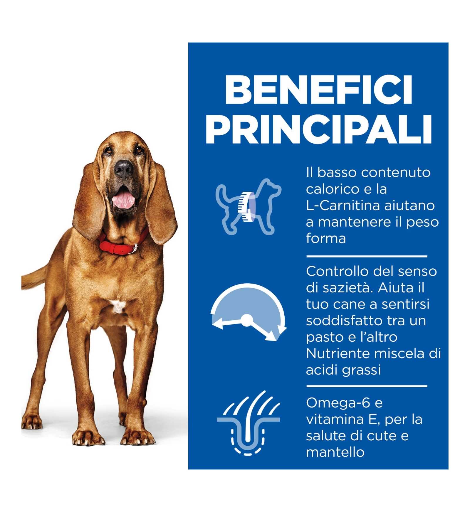 HILL'S SCIENCE PLAN CANE MATURE MEDIUM LIGHT AL POLLO DA 14 KG