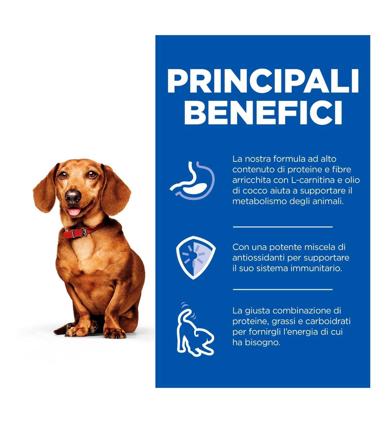 HILL'S SCIENCE PLAN CANE ADULT SMALL & MINI PERFECT WEIGHT MOUSSE AL TACCHINO DA 200 GR IN LATTINA