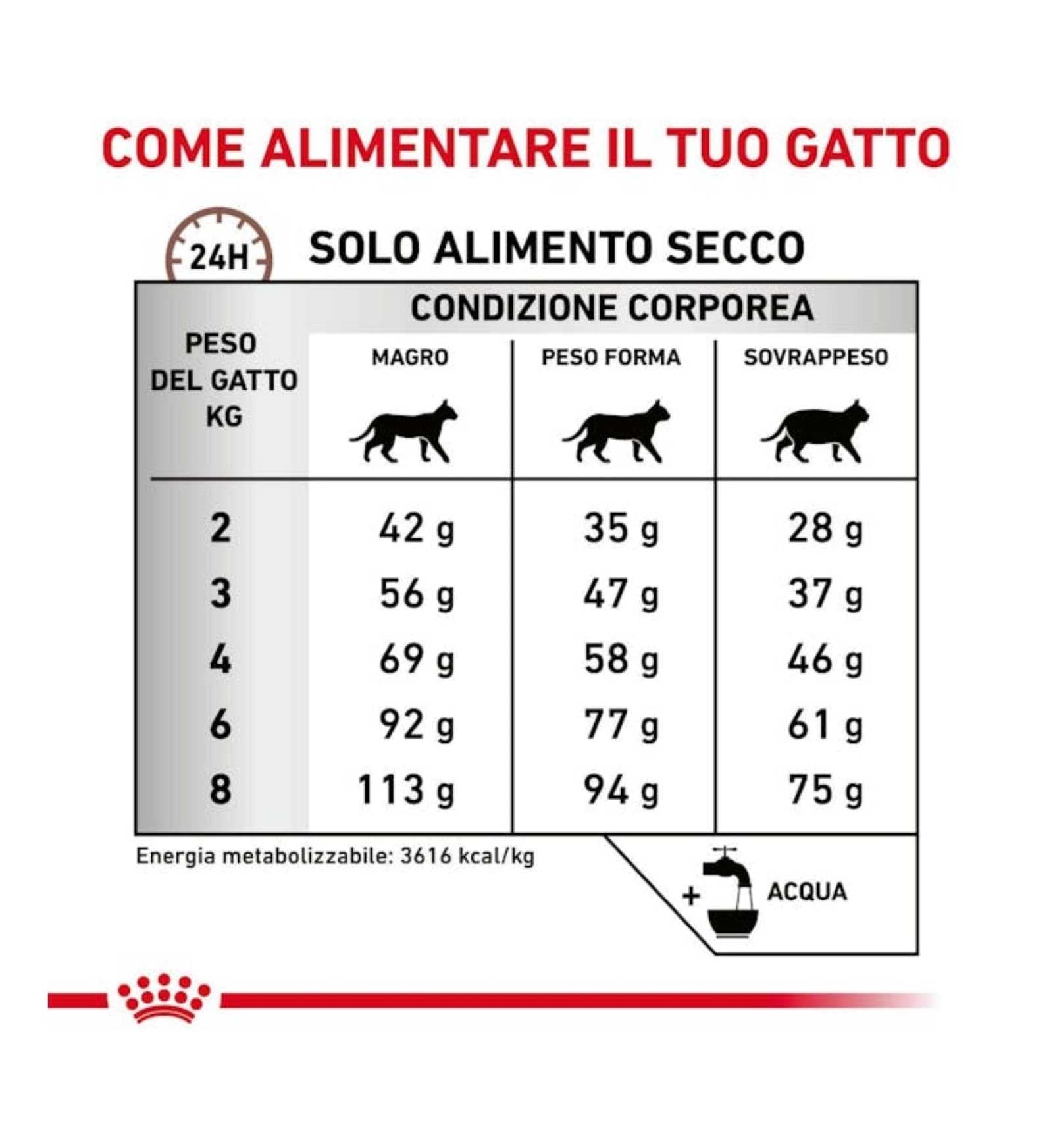 ROYAL CANIN GATTO GASTROINTESTINAL HAIRBALL