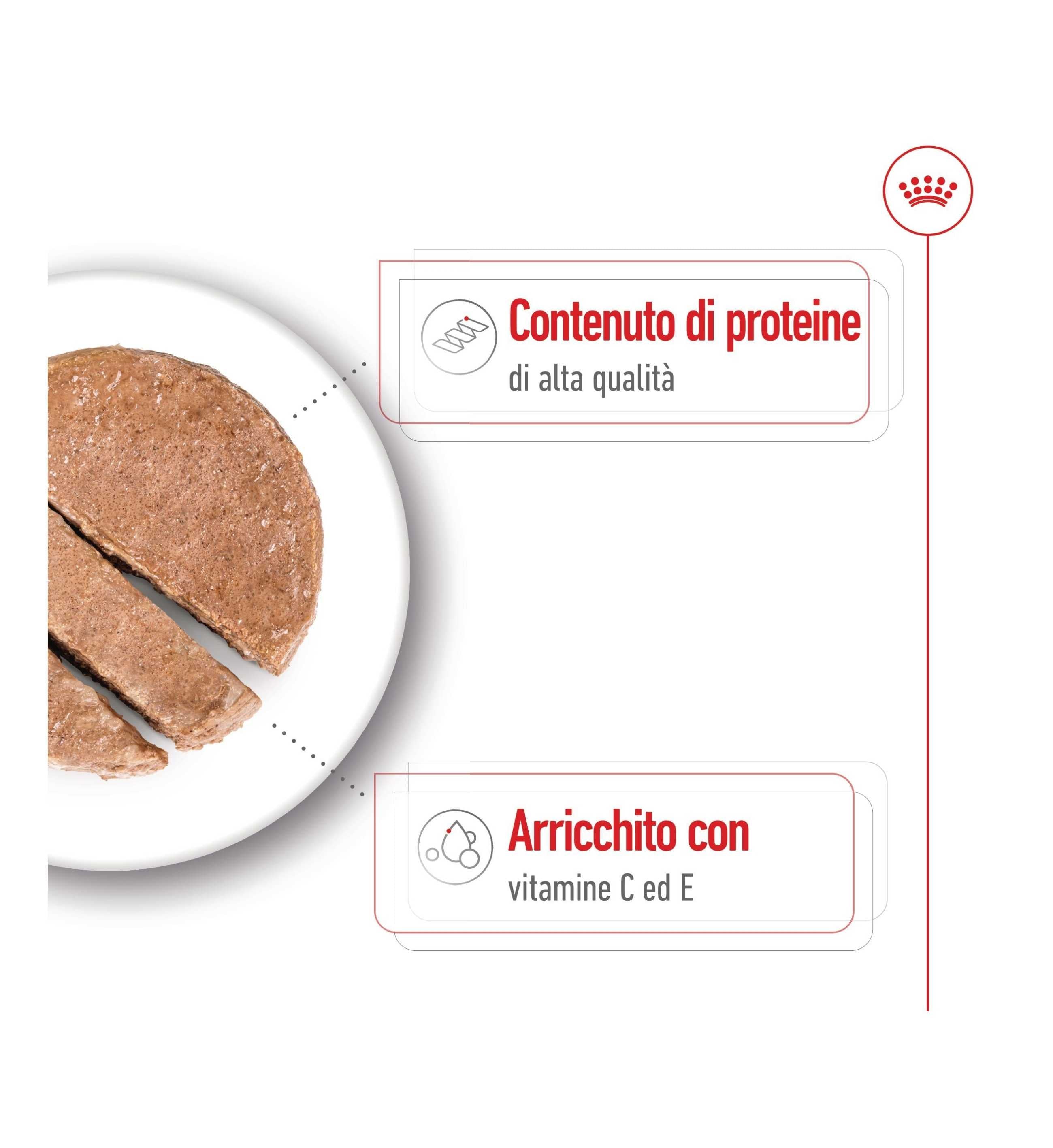 ROYAL CANIN CANE MEDIUM ADULT DA 410 GR IN LATTINA
