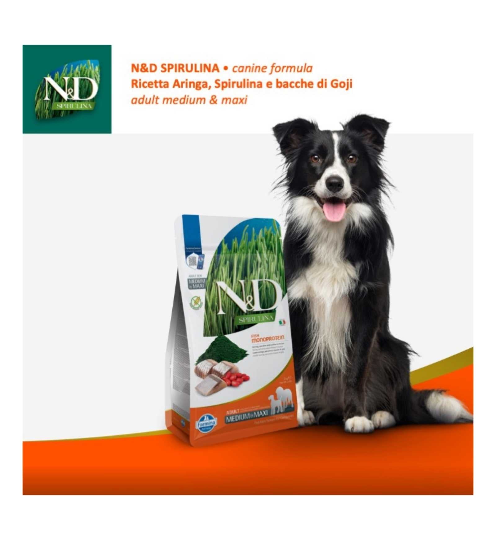 FARMINA N&D SPIRULINA CANE GRAIN FREE ADULT MEDIUM MAXI ARINGA