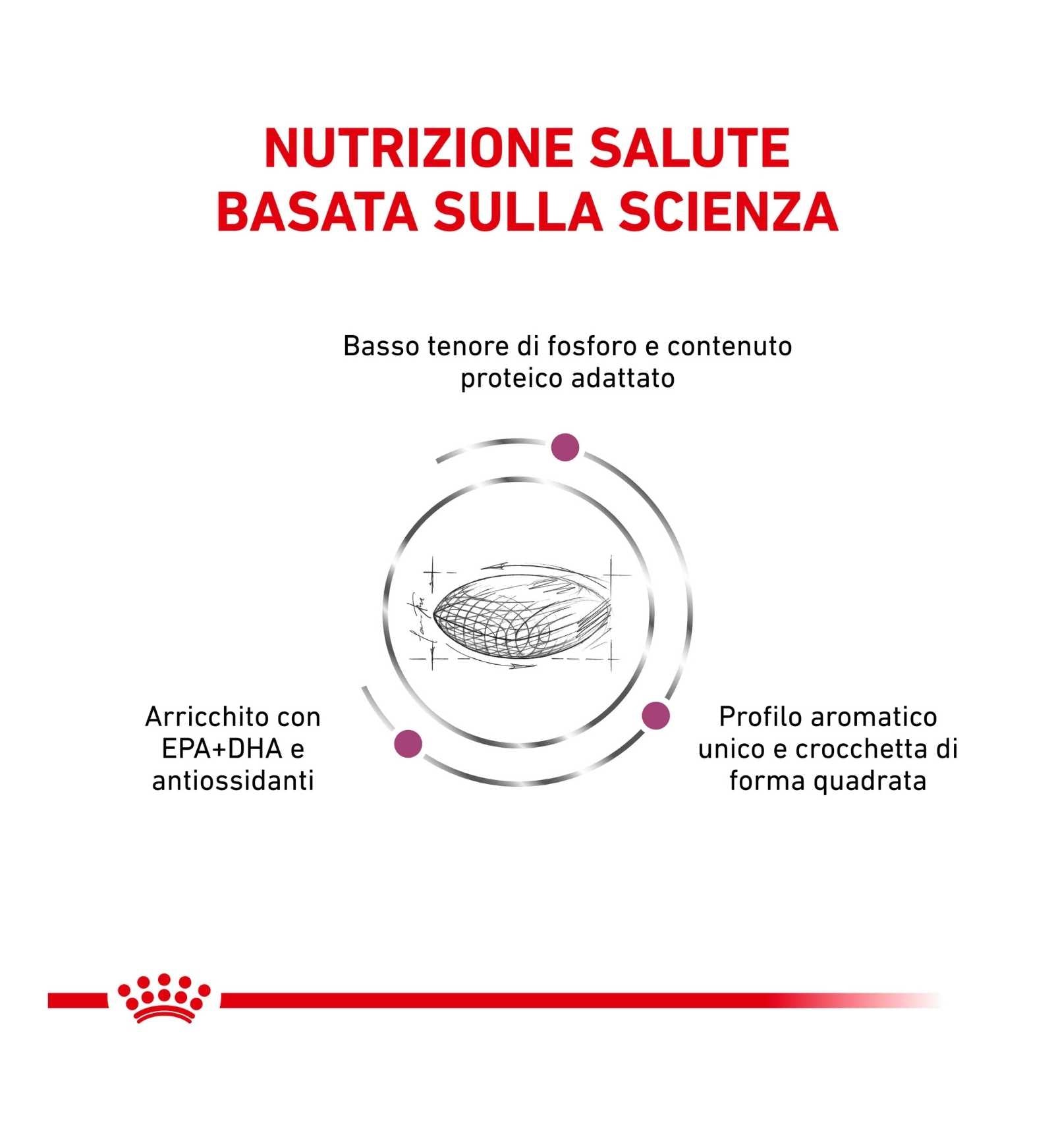 ROYAL CANIN CANE DIET RENAL
