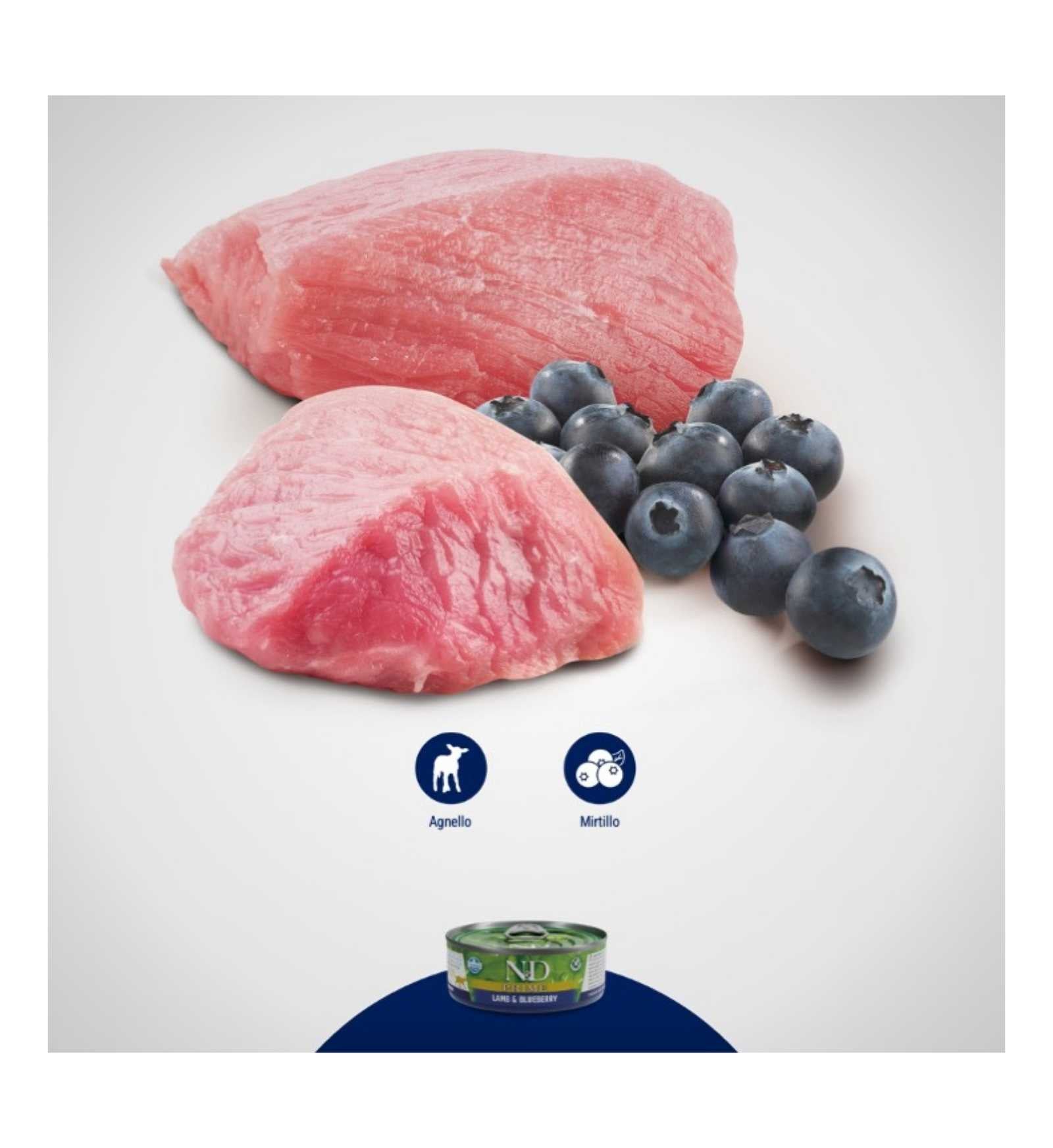 FARMINA N&D DELICIUOS GRAIN FREE GATTO PRIME CON AGNELLO E MIRTILLI DA 70 GR IN LATTINA
