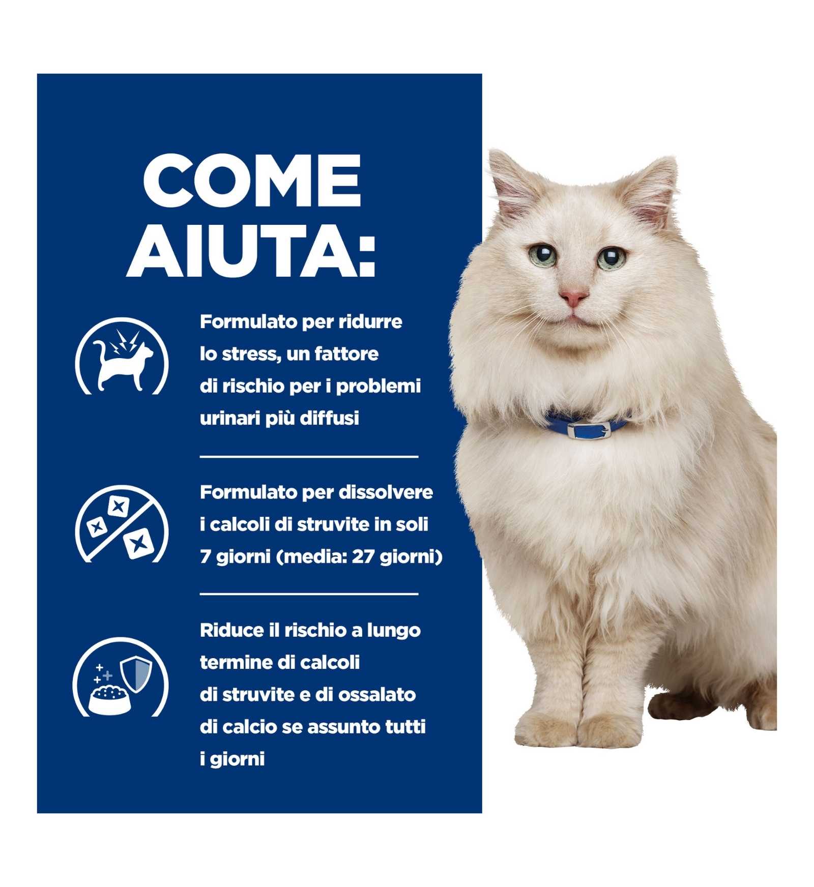 HILL'S PRESCRIPTION DIET GATTO C/D URINARY CARE STRESS AL PESCE