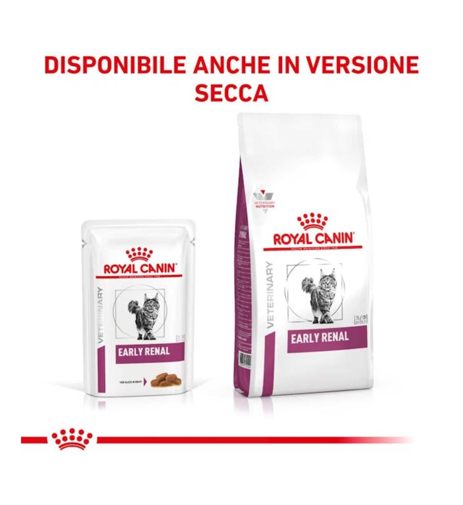ROYAL CANIN GATTO DIET EARLY RENAL DA 85 GR IN BUSTA