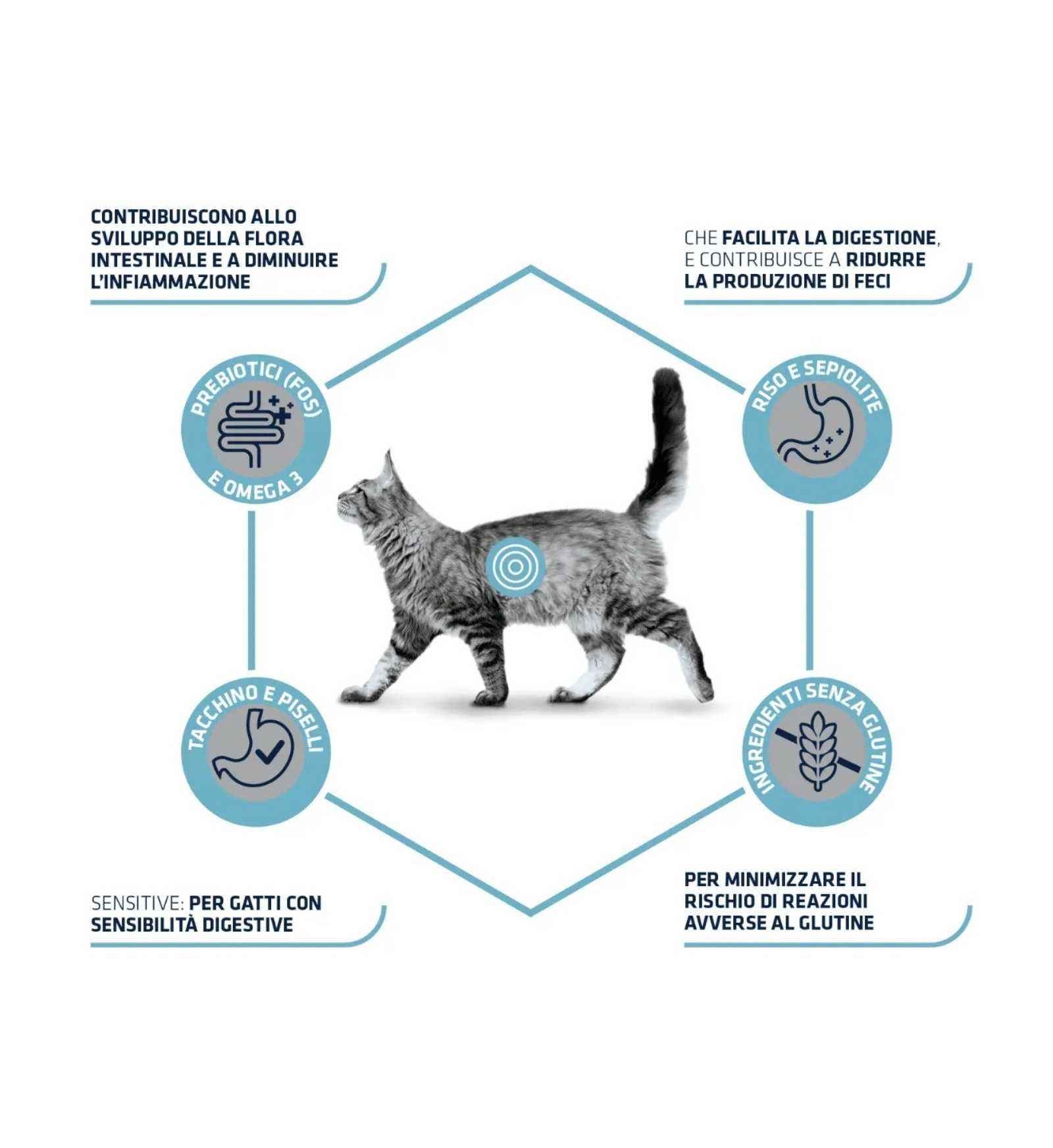AFFINITY GATTO ADVANCE VETERINARY DIETS GASTROENTERIC SENSITIVE
