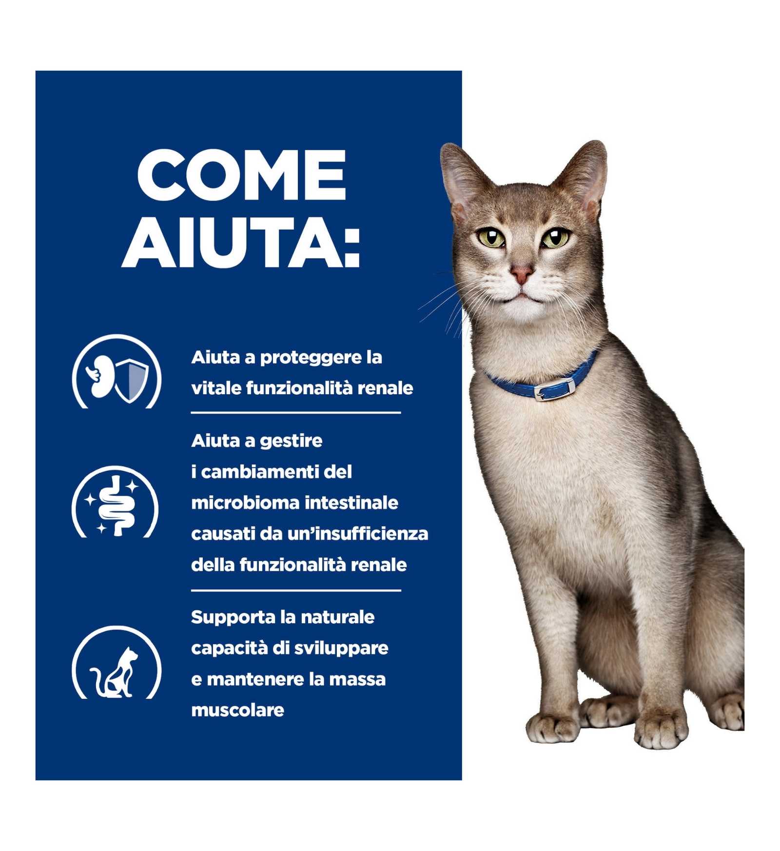 HILL'S PRESCRIPTION DIET GATTO K/D CON SPEZZATINO DI TONNO E VERDURE DA 82 GR IN LATTINA