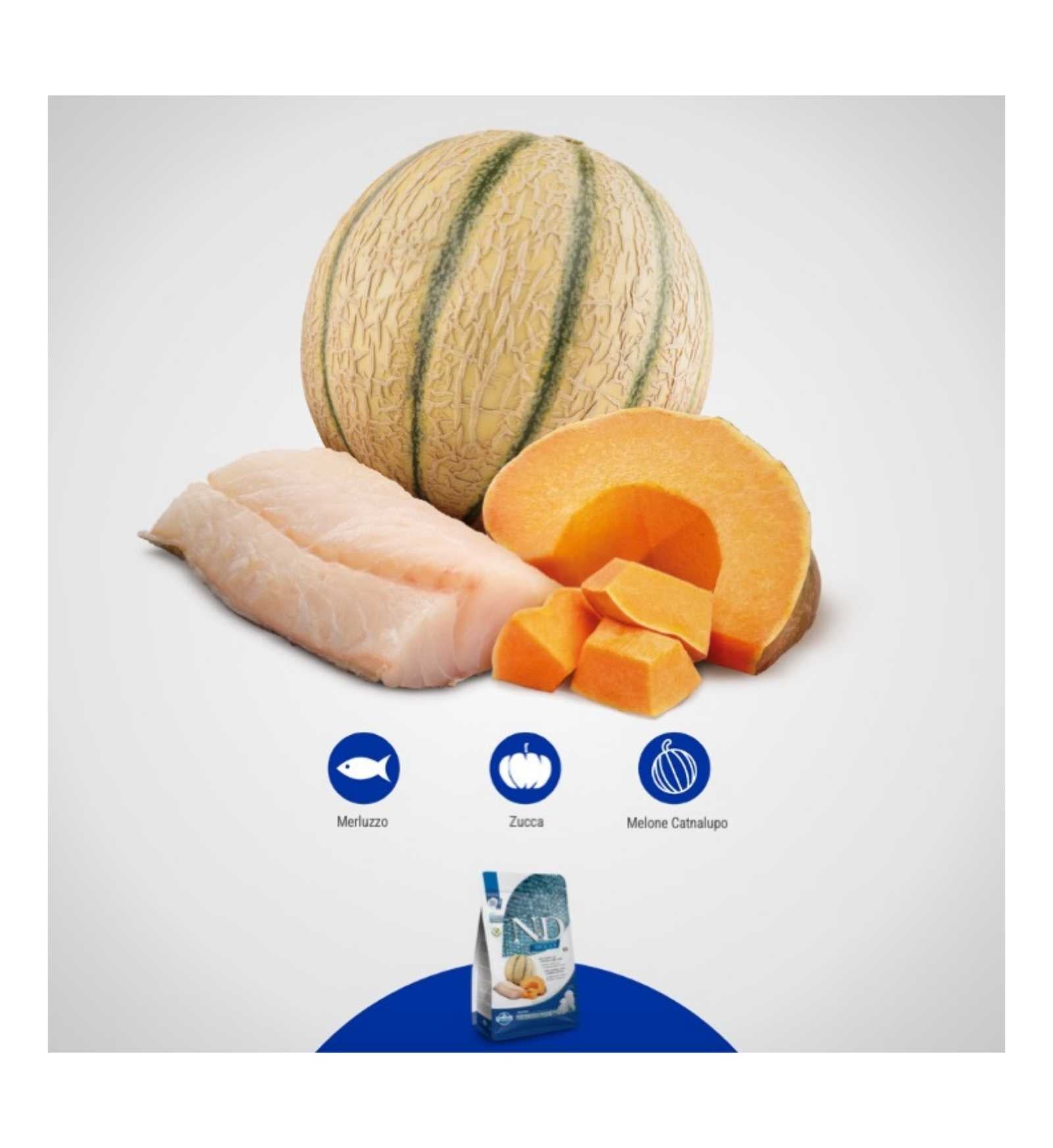 FARMINA N&D OCEAN CANE PUPPY MEDIUM E MAXI MERLUZZO ZUCCA E MELONE