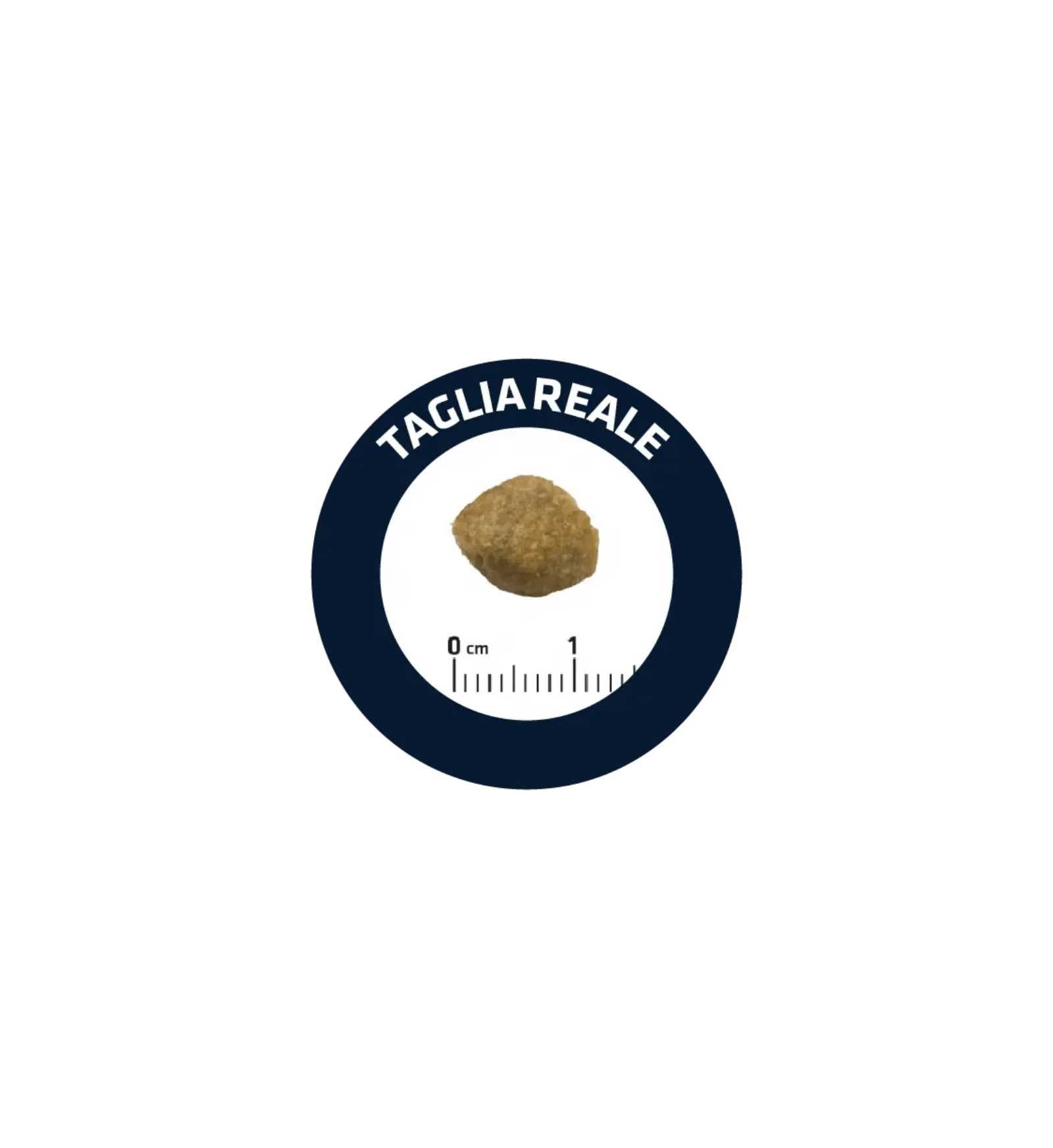 ADVANCE CANE ADULT URINARY LOW PURINE DA 12 KG