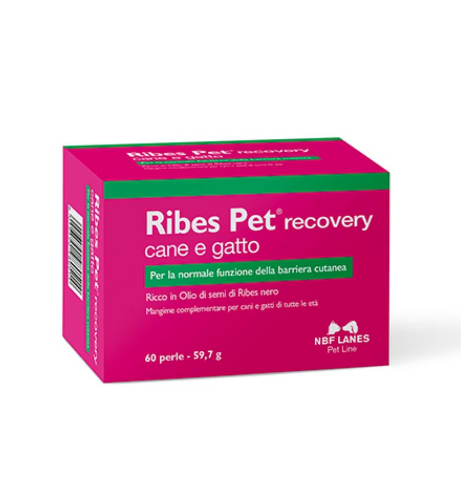 NBF LANES CANE E GATTO RIBES PET RECOVERY DA 60 PERLE