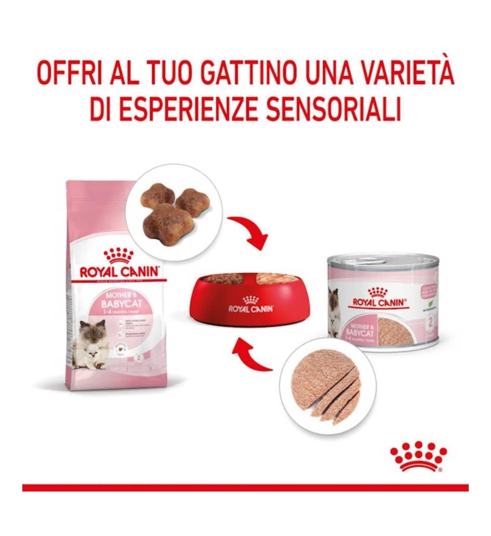ROYAL CANIN GATTO BABYCAT DA 195 GR IN LATTINA