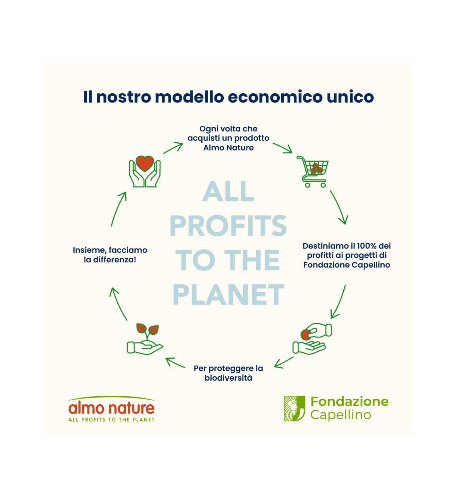 ALMO715_4__Server-Mago_Mago4_Custom_Companies_ZOOEXPERT_SRL_Applications_ERP_Items_Files_Images_AllUsers_N761_17.jpg ALMO715 picture