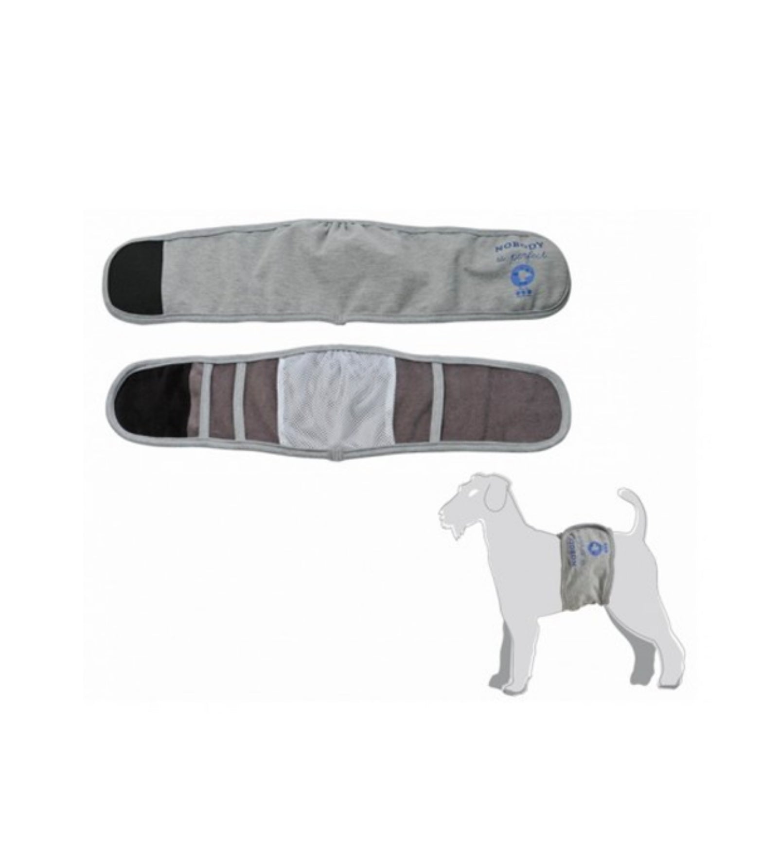 CAMONC2215_1_Image.erp.items.images.C221_5_01.jpg CAMONC2215 picture