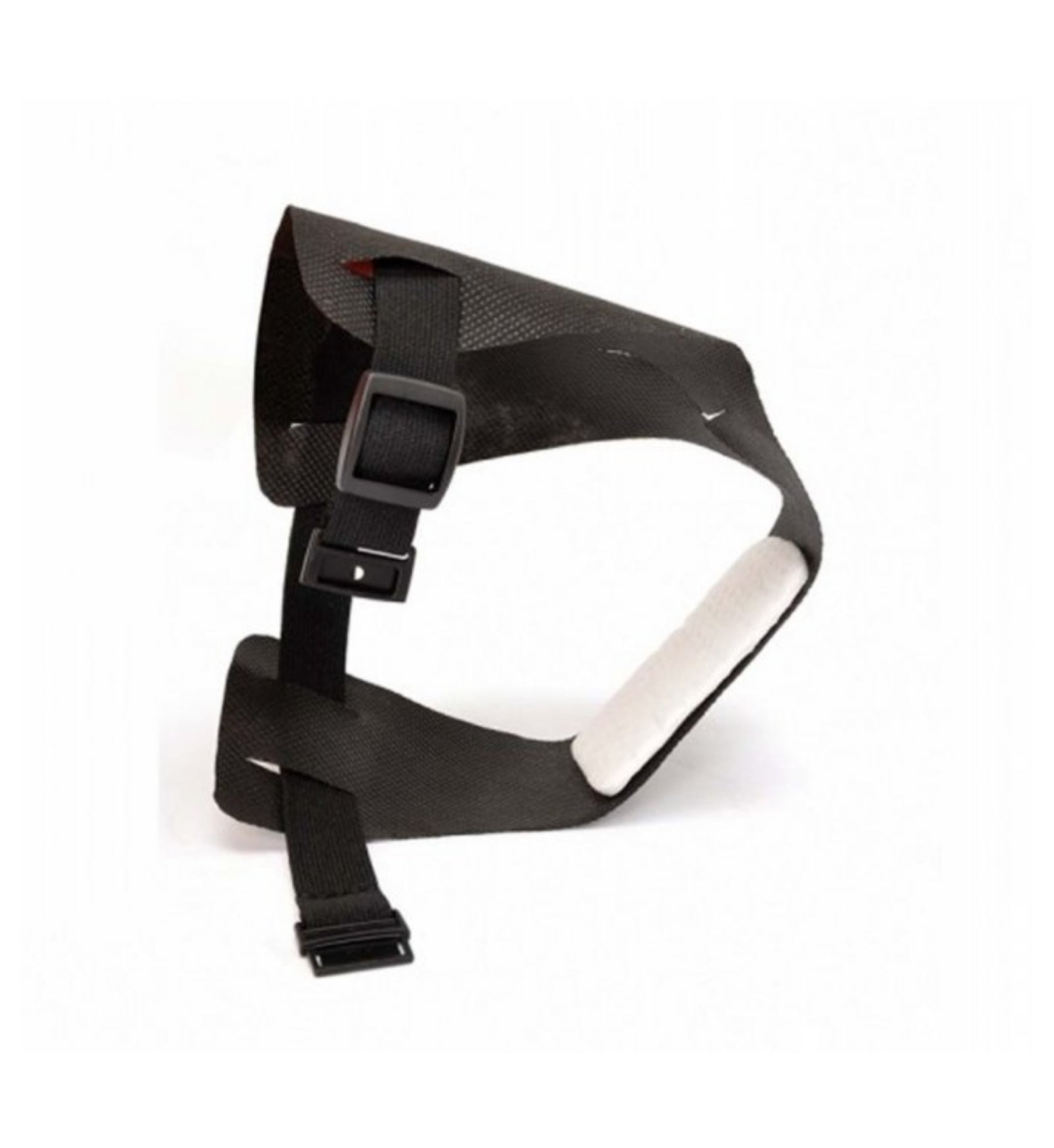 CAMONC230C_1_Image.erp.items.images.D029_03_01.jpg CAMONC230C picture