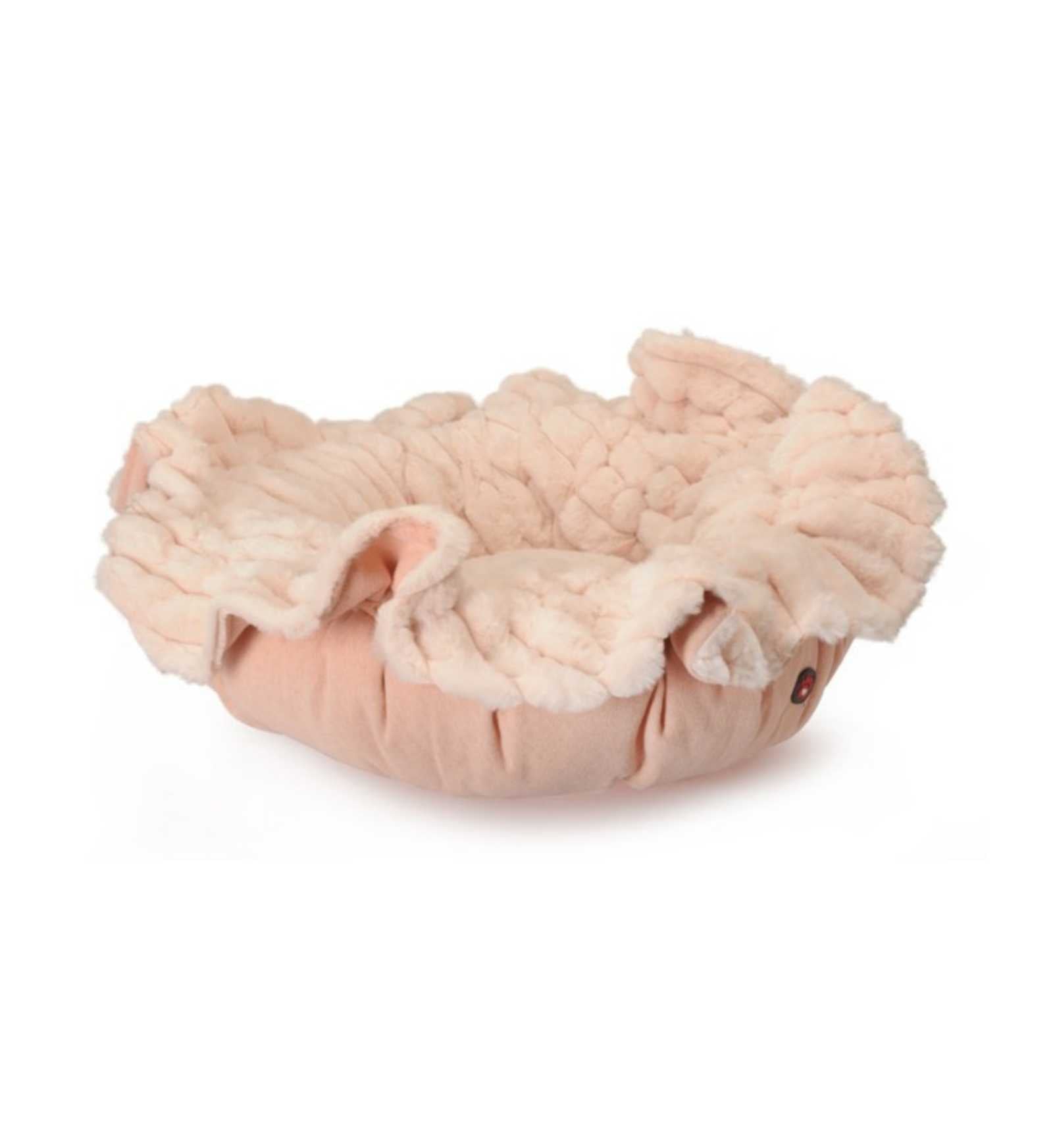 CAMONCC0179_1__Server-Mago_Mago4_Custom_Companies_ZOOEXPERT_SRL_Applications_ERP_Items_Files_Images_AllUsers_CC0179_01.jpg CAMONCC0179 picture