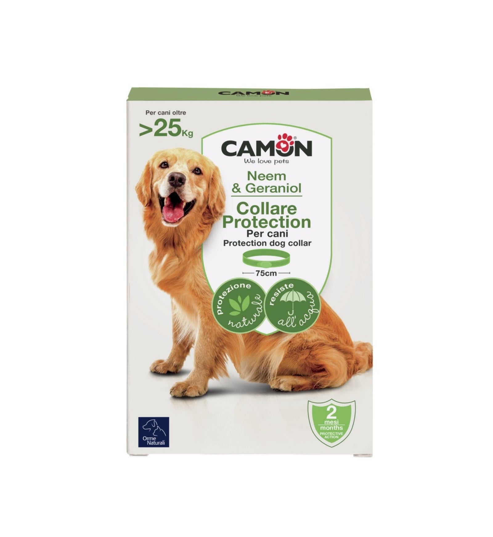 CAMONG900A_1_Image.erp.items.images.G900_A_01.jpg CAMONG900A picture