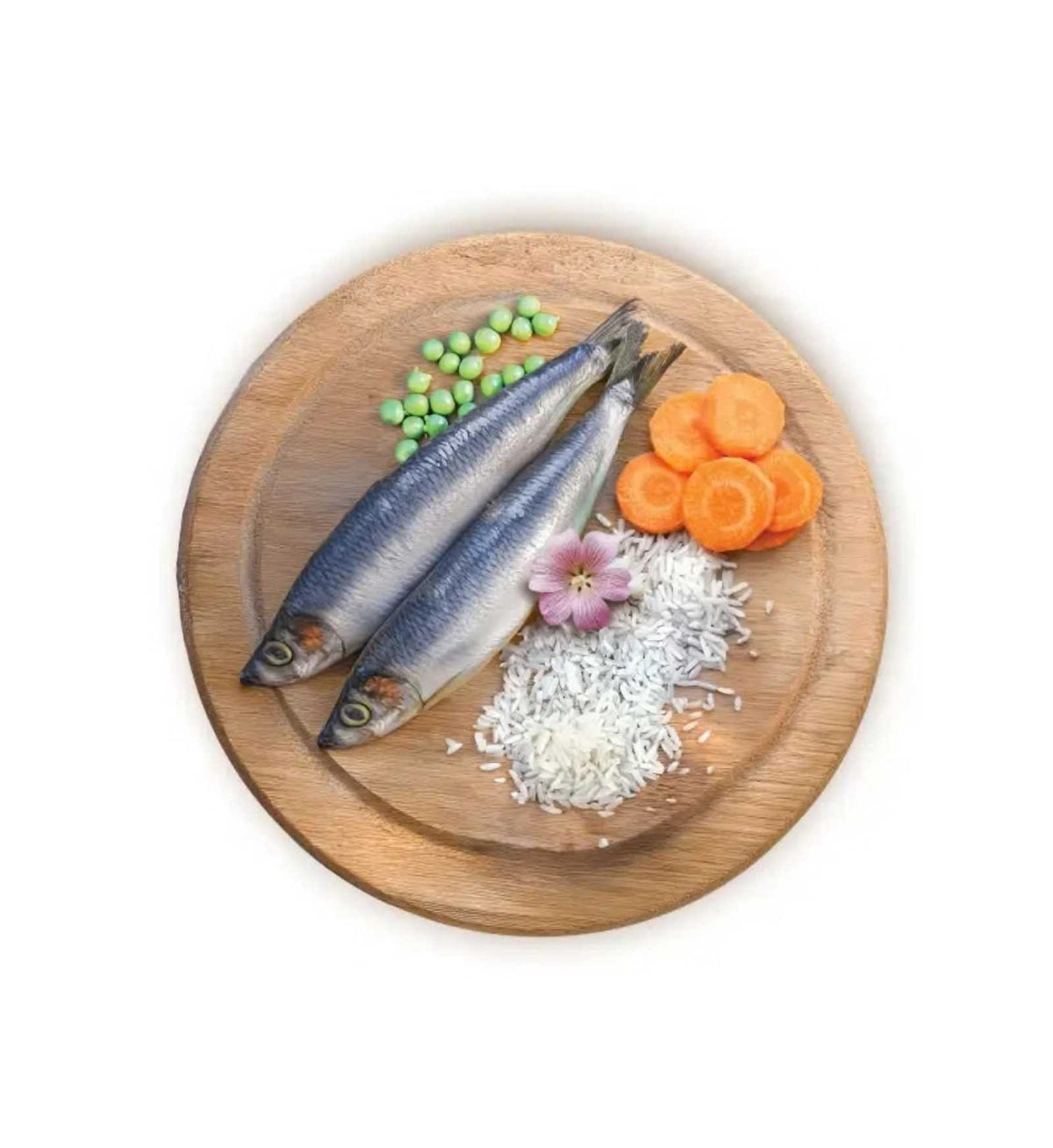DAGEL15KGSTPESCE_3__Server-Mago_Mago4_Custom_Companies_ZOOEXPERT_SRL_Applications_ERP_Items_Files_Images_AllUsers_15KGSTPESCE_12.jpg DAGEL15KGSTPESCE picture