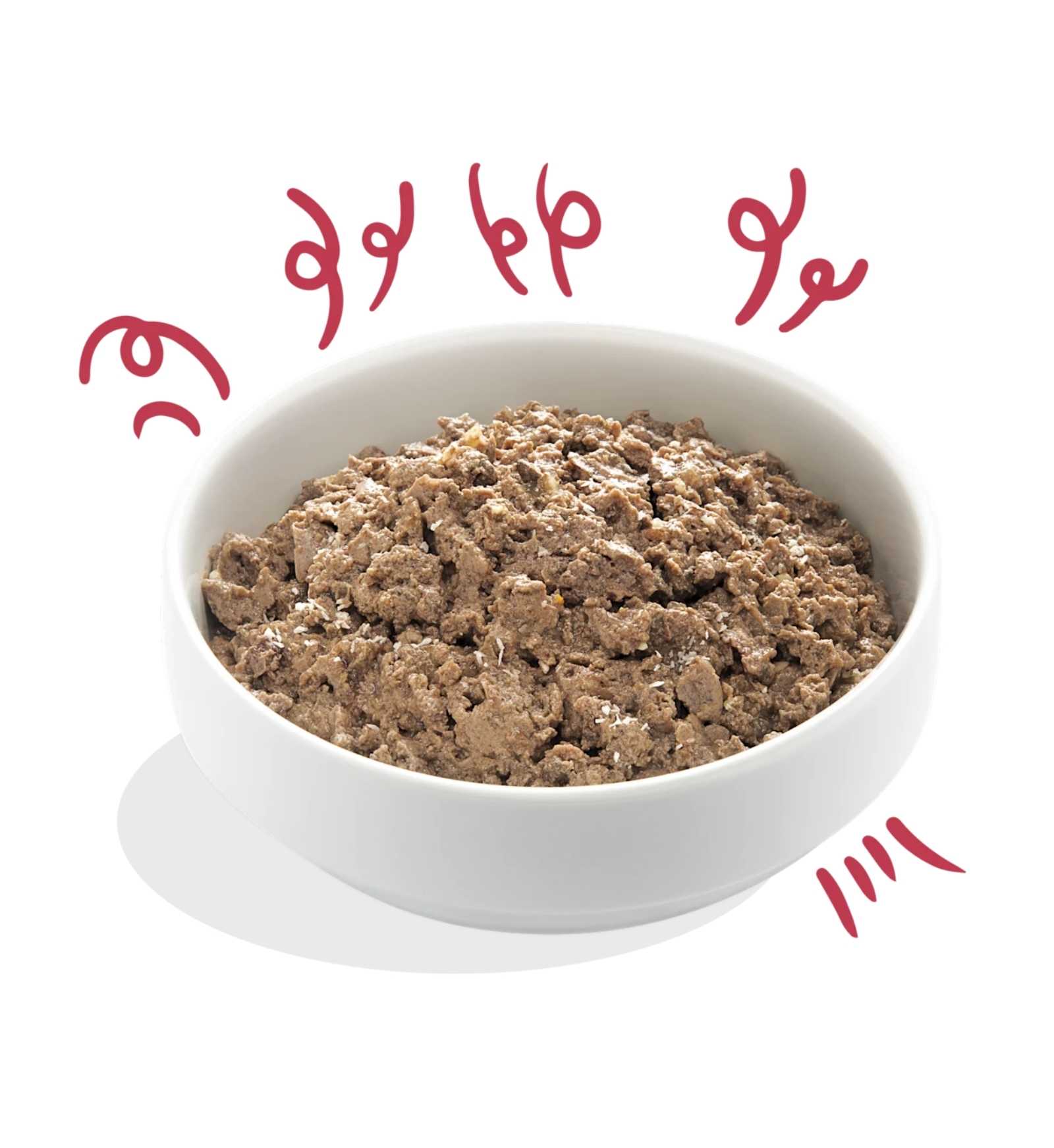 EDGARD9485447_2__Server-Mago_Mago4_Custom_Companies_ZOOEXPERT_SRL_Applications_ERP_Items_Files_Images_AllUsers_9485447_13.jpg EDGARD9485447 picture