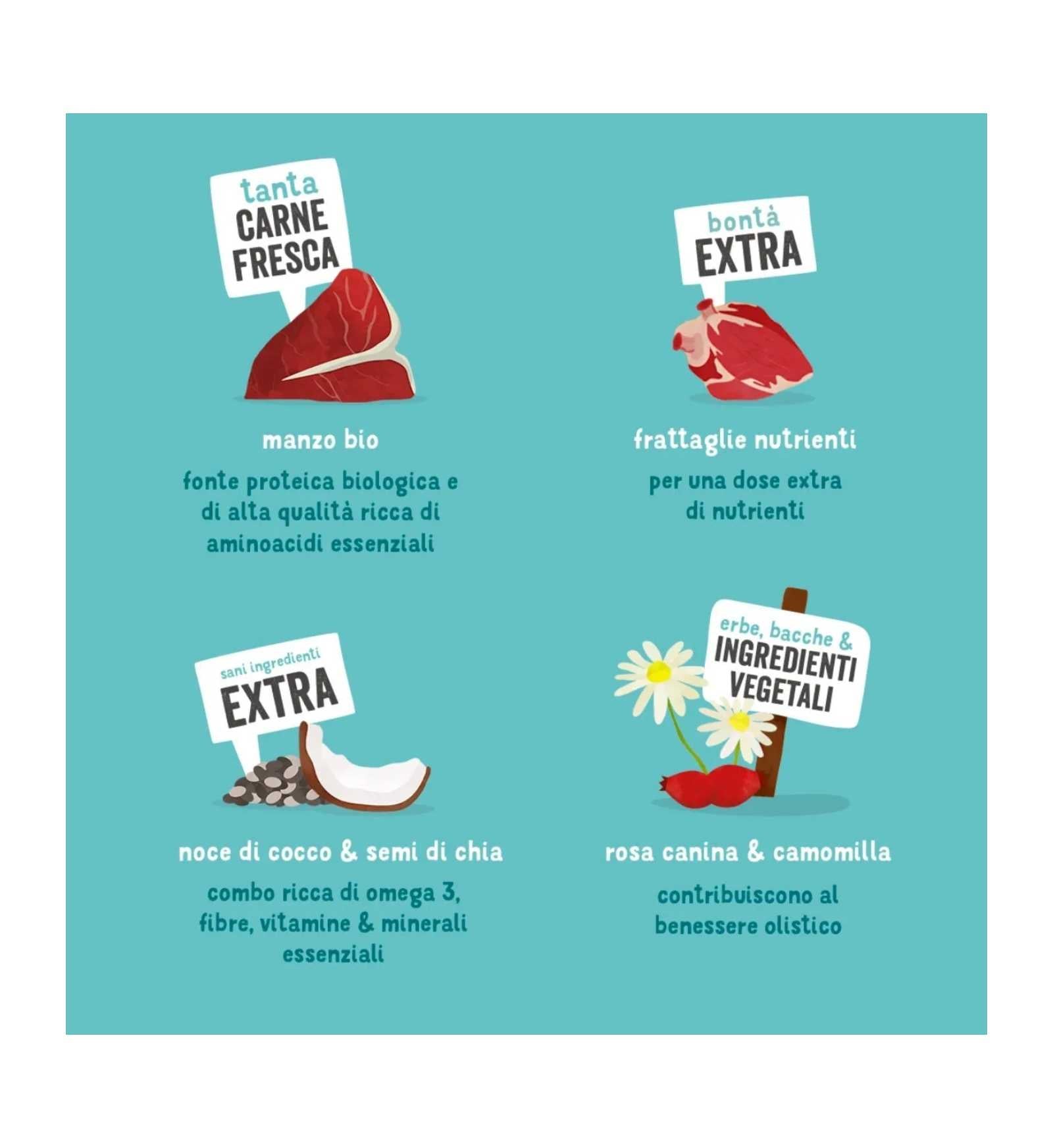 EDGARD9485447_3__Server-Mago_Mago4_Custom_Companies_ZOOEXPERT_SRL_Applications_ERP_Items_Files_Images_AllUsers_9485447_25.jpg EDGARD9485447 picture