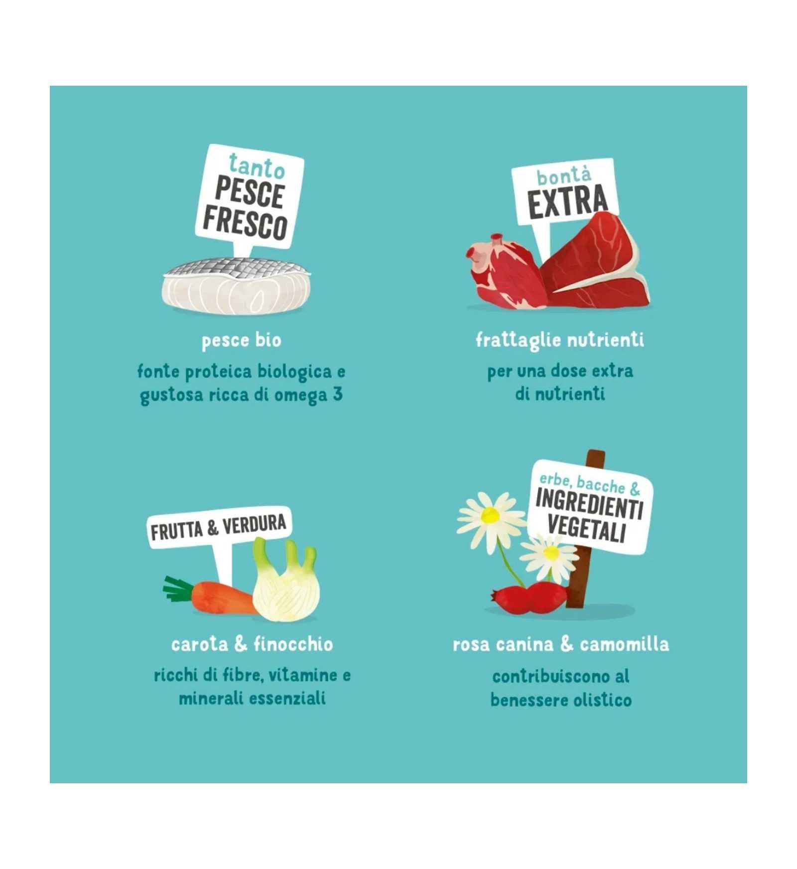 EDGARD9485461_3__Server-Mago_Mago4_Custom_Companies_ZOOEXPERT_SRL_Applications_ERP_Items_Files_Images_AllUsers_9485461_25.jpg EDGARD9485461 picture