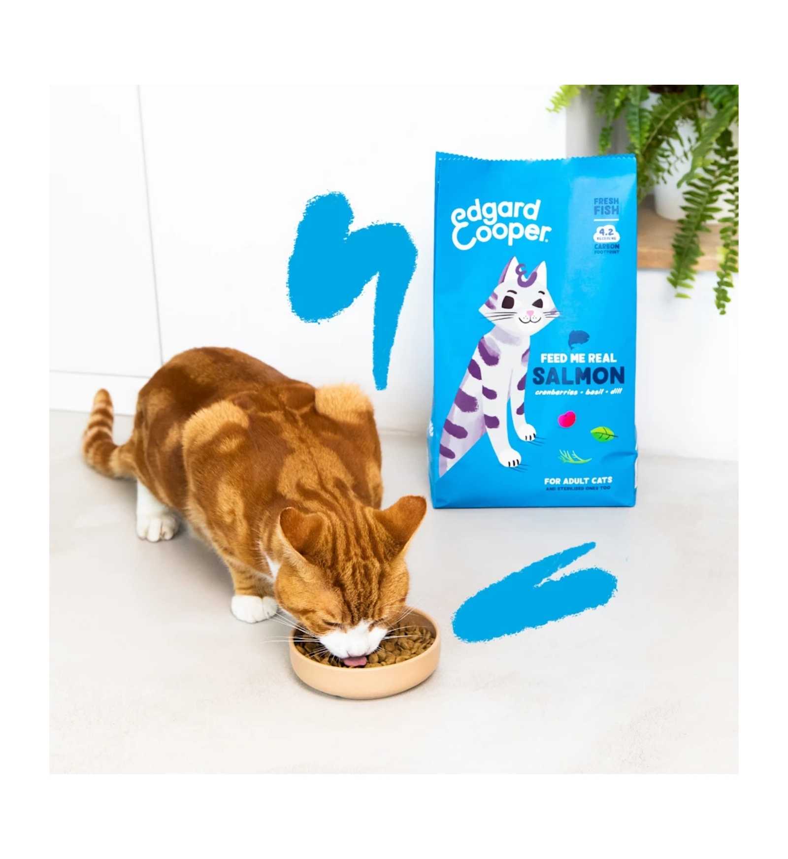 EDGARD9640407_3__Server-Mago_Mago4_Custom_Companies_ZOOEXPERT_SRL_Applications_ERP_Items_Files_Images_AllUsers_9640407_15.jpg EDGARD9640407 picture