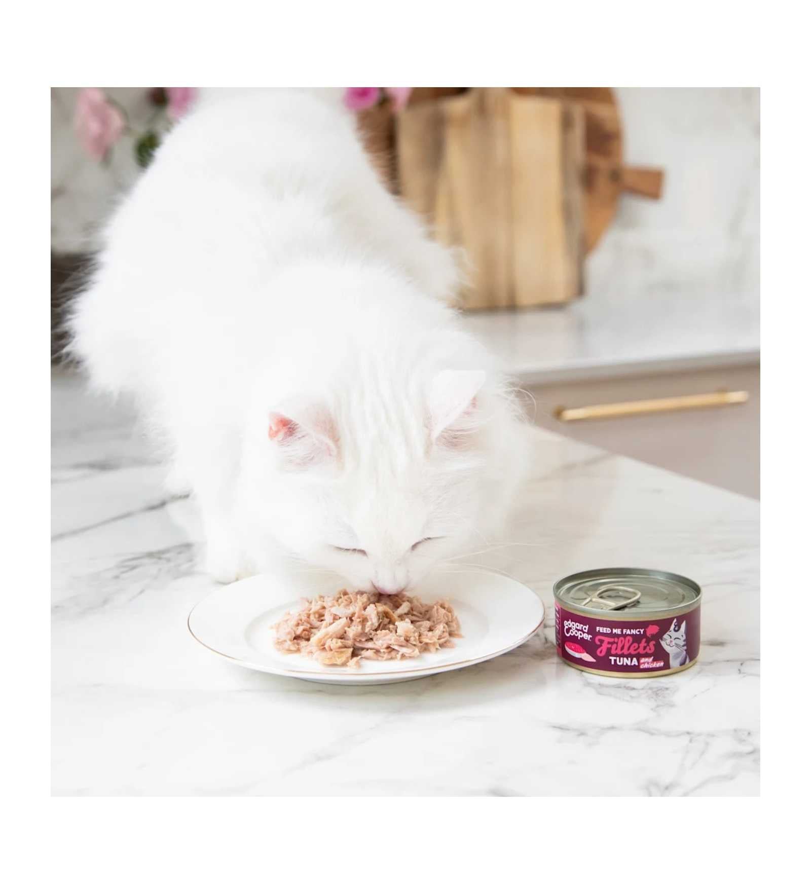 EDGARD9640827_3__Server-Mago_Mago4_Custom_Companies_ZOOEXPERT_SRL_Applications_ERP_Items_Files_Images_AllUsers_9640827_15.jpg EDGARD9640827 picture