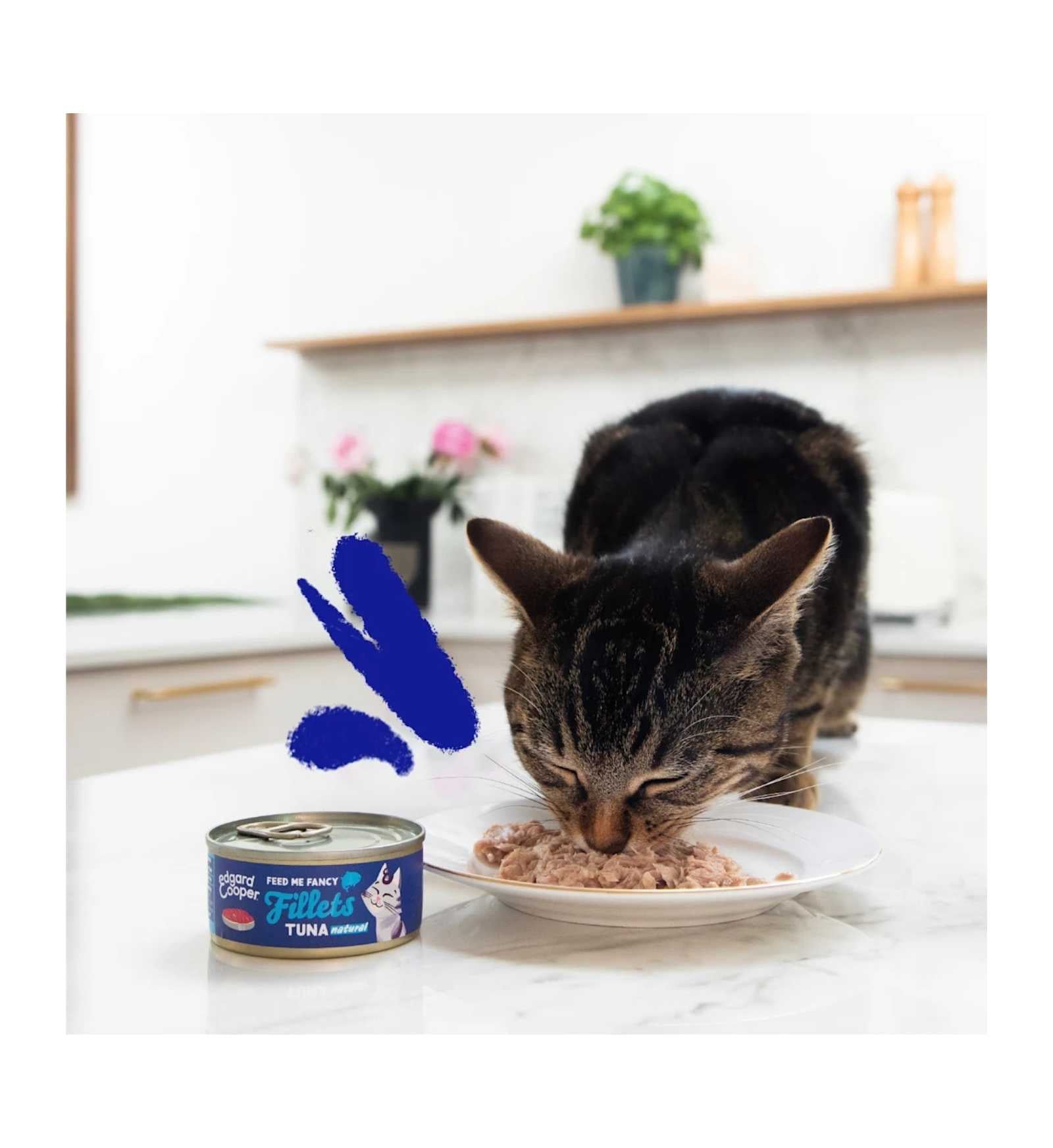 EDGARD9640834_3__Server-Mago_Mago4_Custom_Companies_ZOOEXPERT_SRL_Applications_ERP_Items_Files_Images_AllUsers_9640834_15.jpg EDGARD9640834 picture