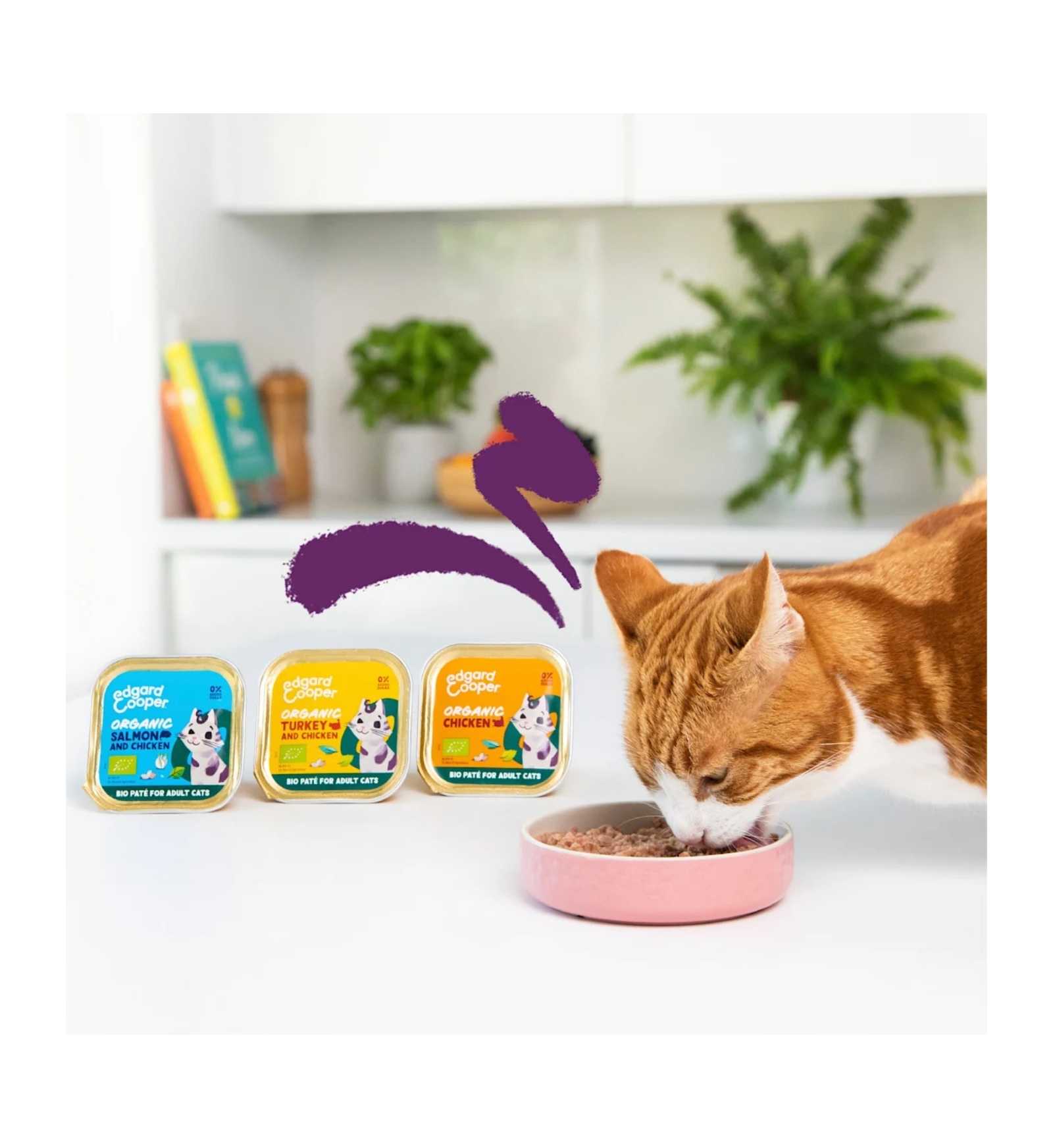 EDGARD9641152_3__Server-Mago_Mago4_Custom_Companies_ZOOEXPERT_SRL_Applications_ERP_Items_Files_Images_AllUsers_9641152_15.jpg EDGARD9641152 picture