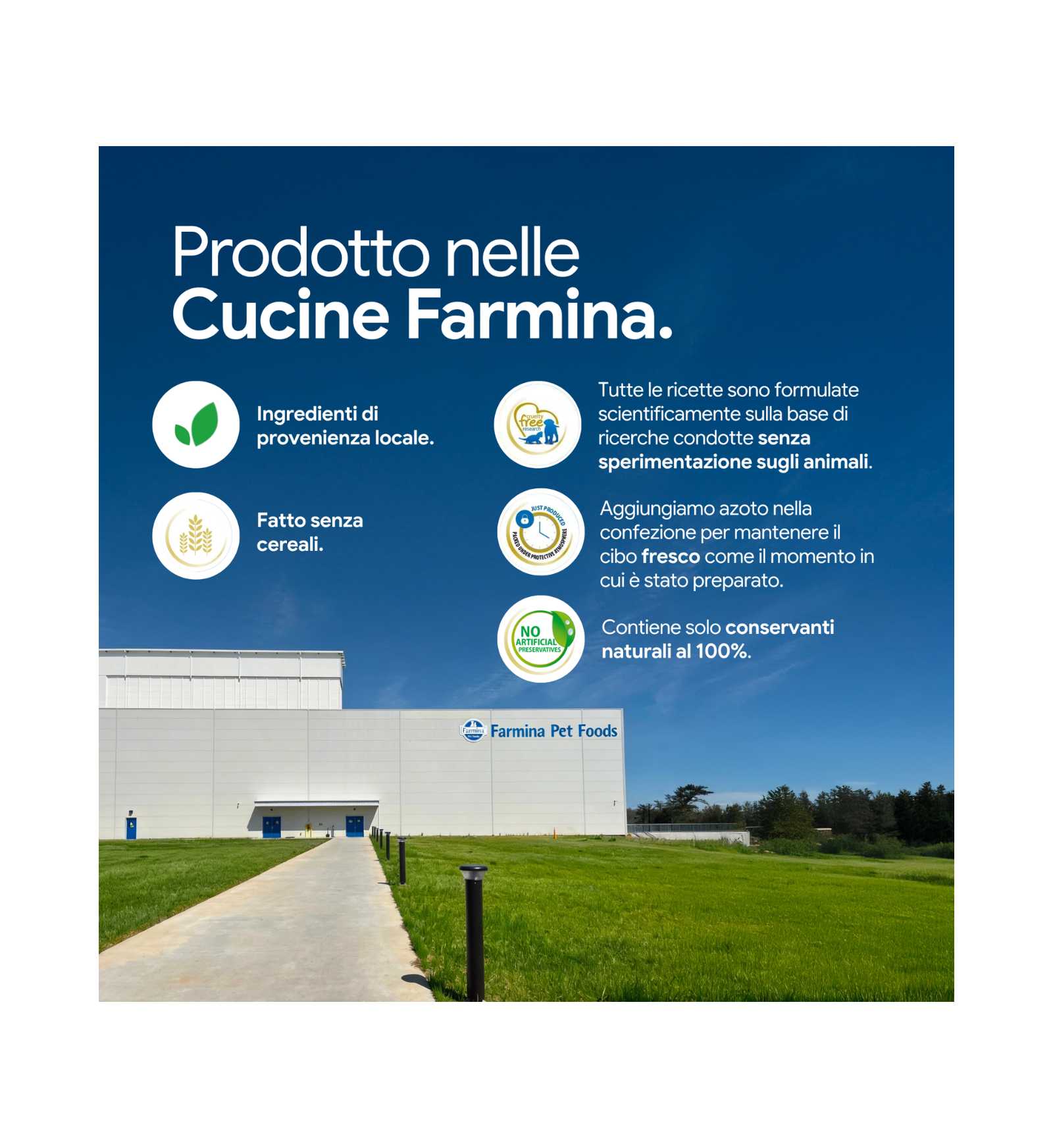 FARMIN2132_4__Server-Mago_Mago4_Custom_Companies_ZOOEXPERT_SRL_Applications_ERP_Items_Files_Images_AllUsers_2170_15.jpg FARMIN2132 picture