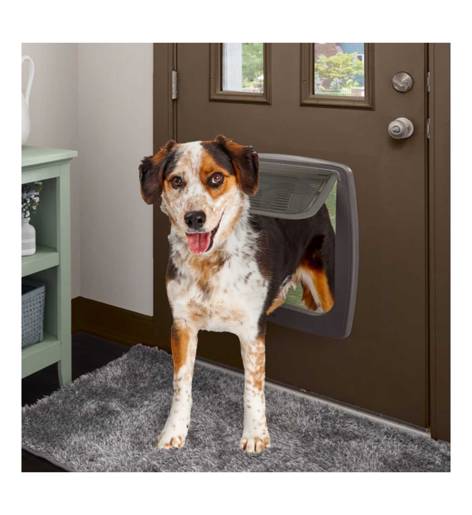 FERPLA72108012_2_Image.erp.items.images.72108012_02.jpg FERPLA72108012 picture